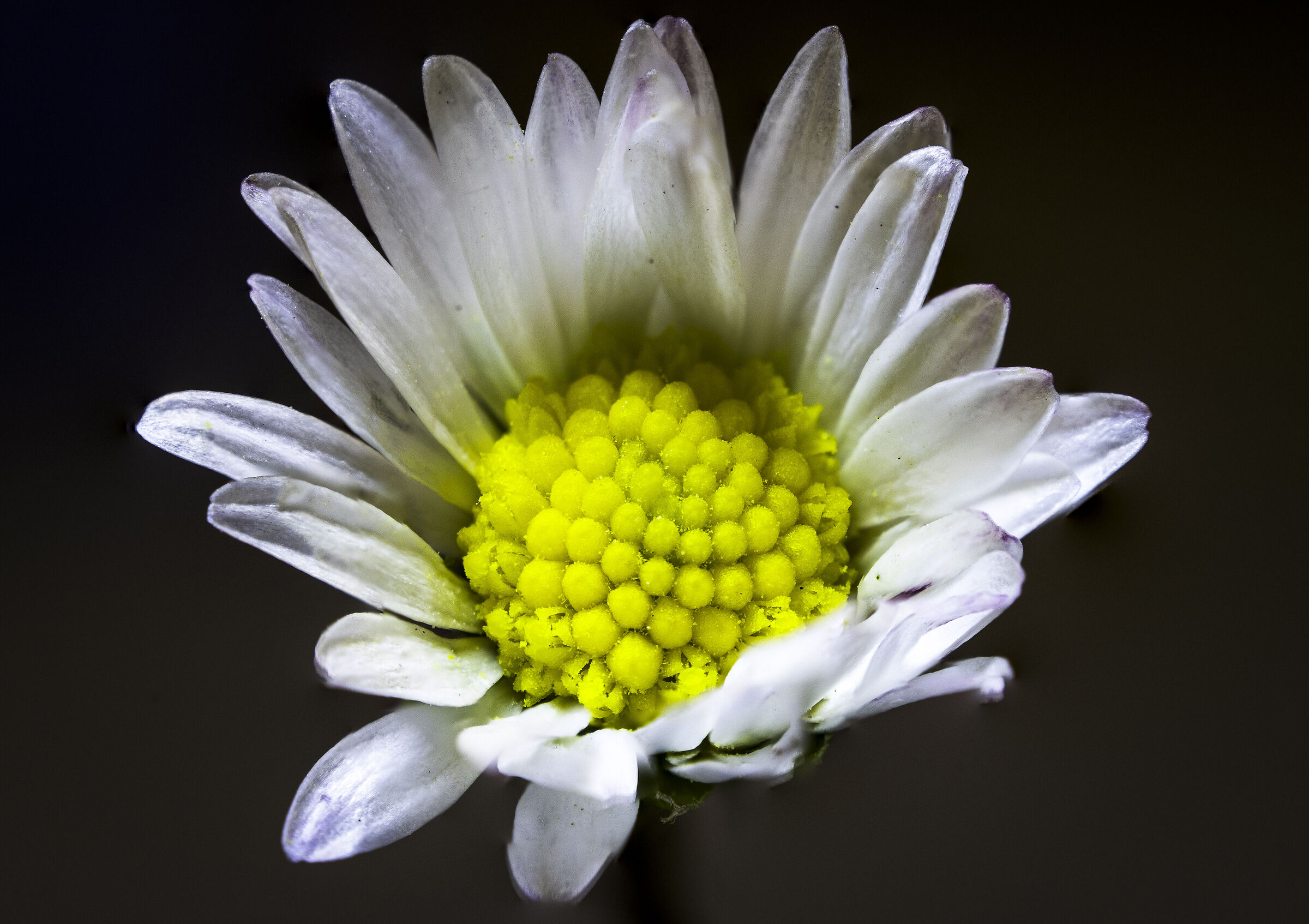 Manual stacking ? flower with drop