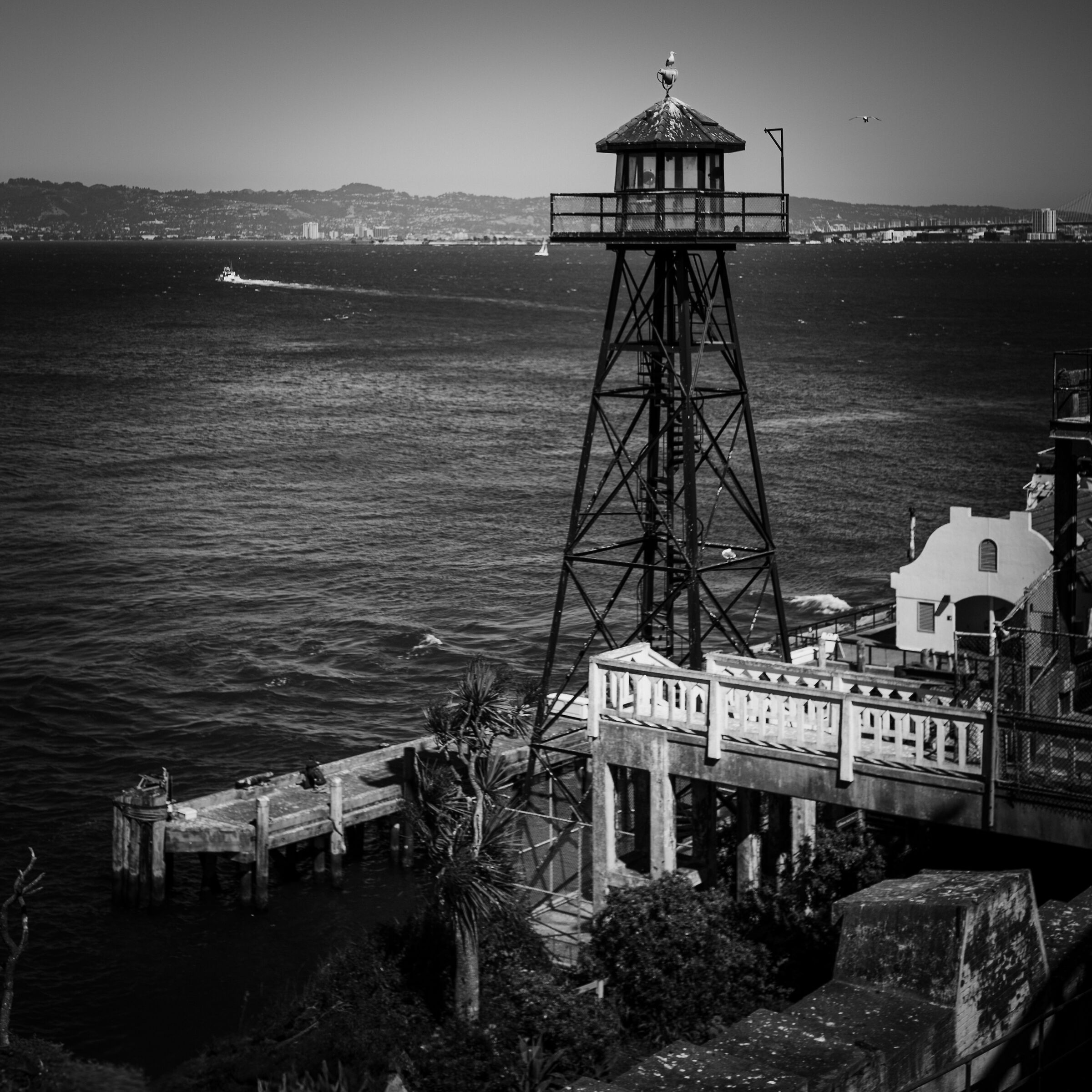 Alcatraz