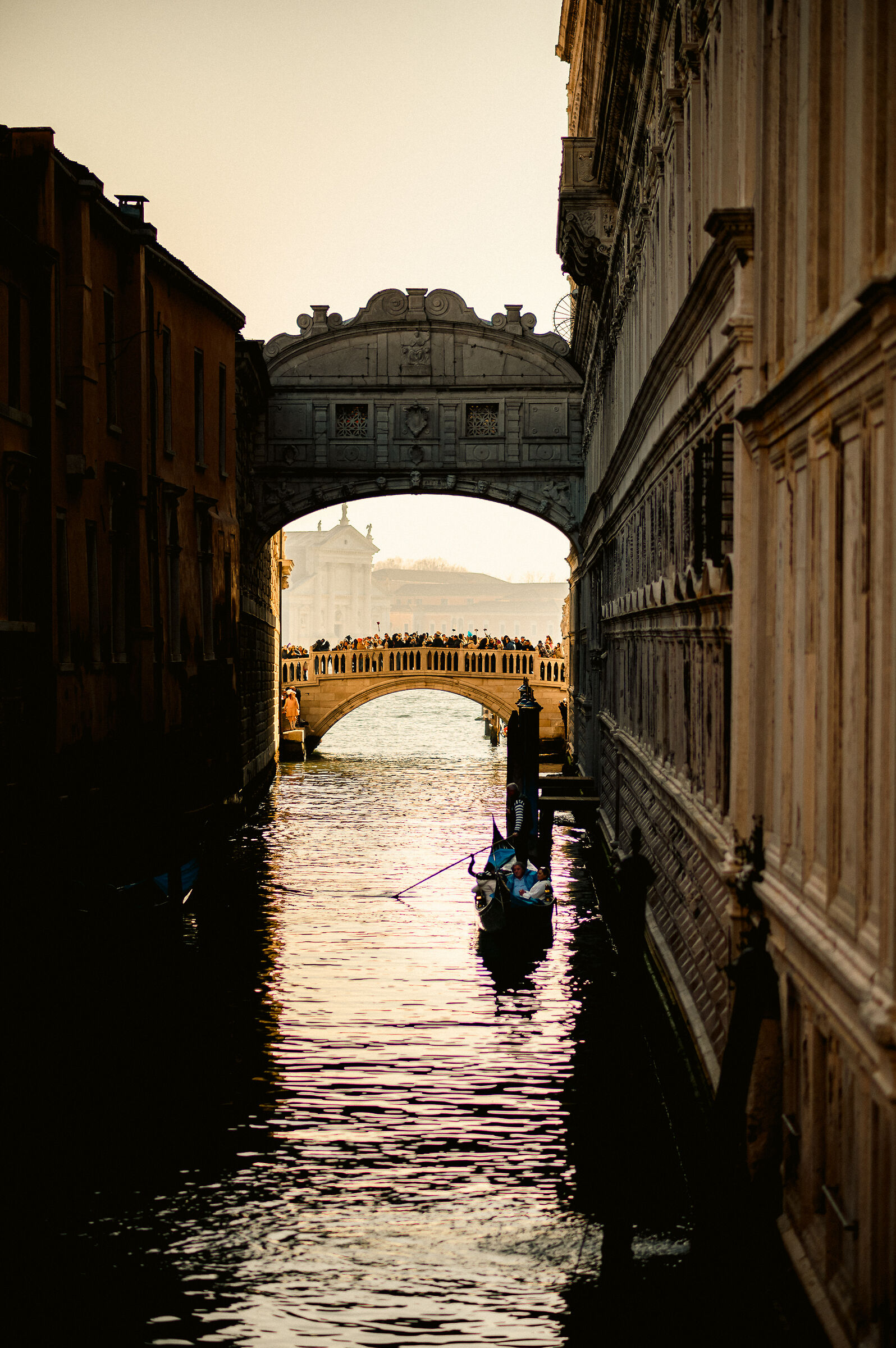 Untitled Photo