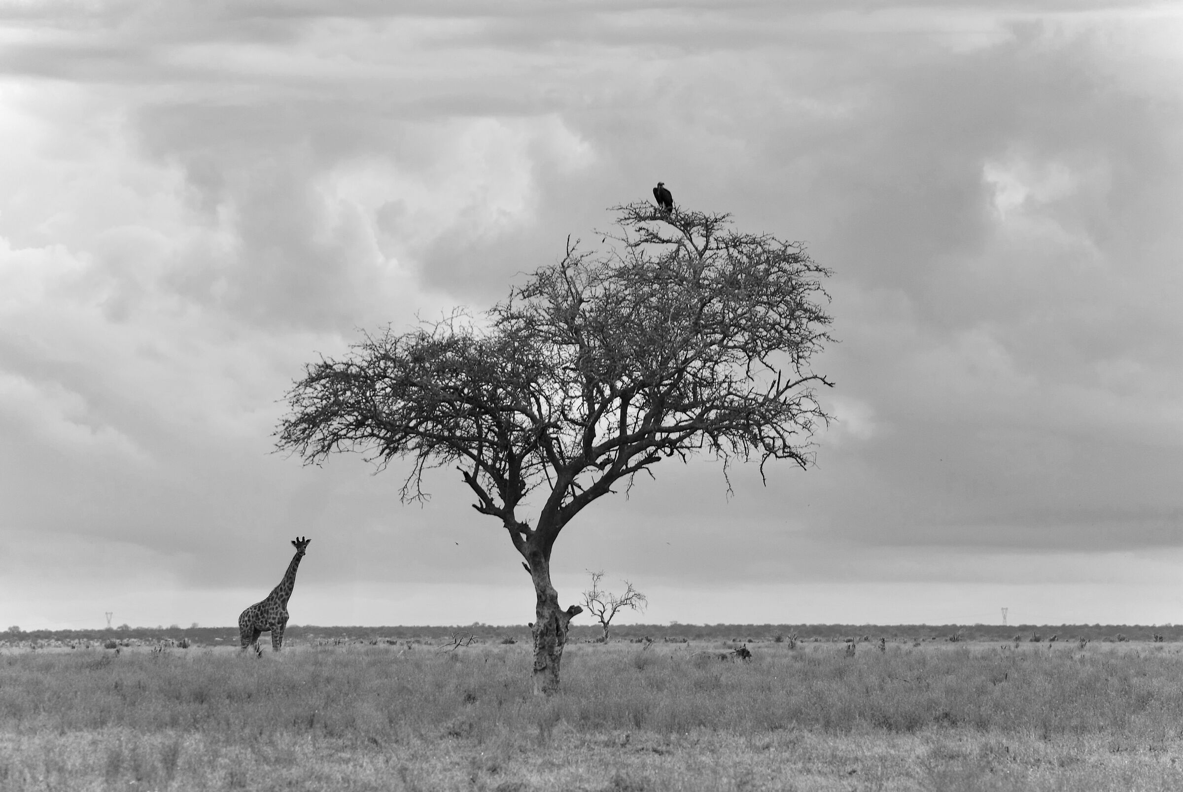 Kenya