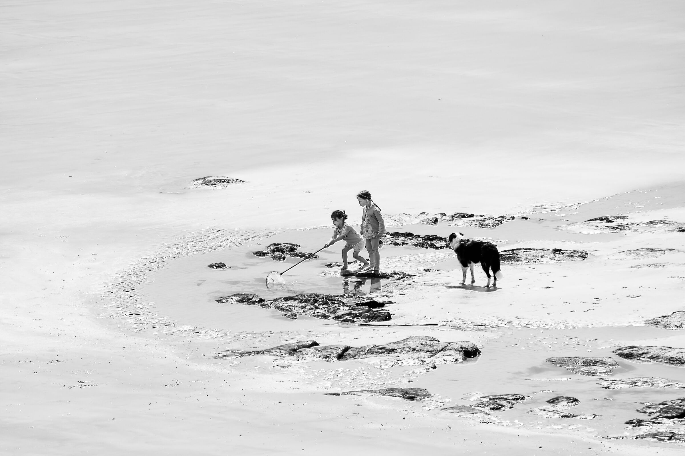 What are you fishing?