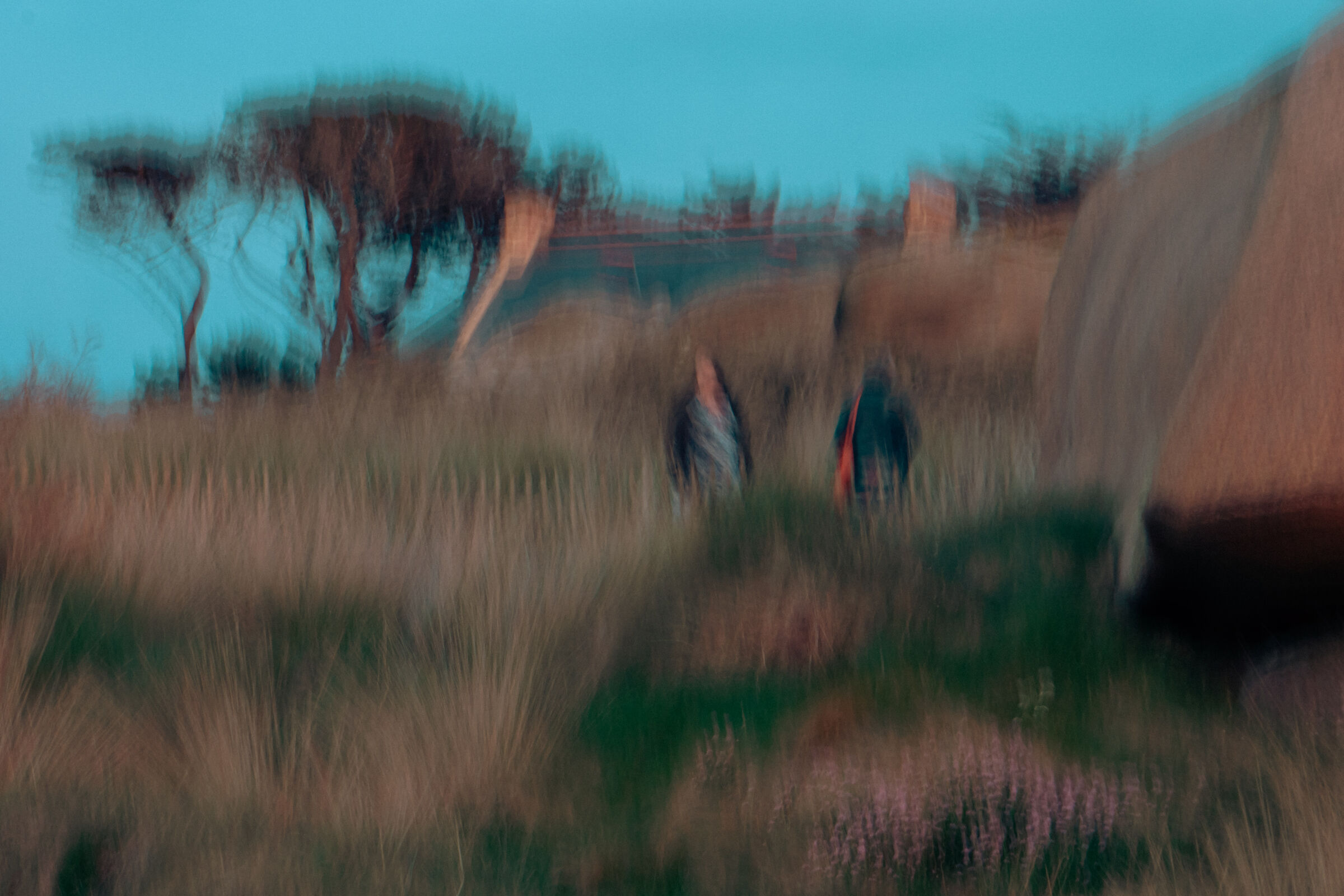 Wanting to imitate the Impressionists