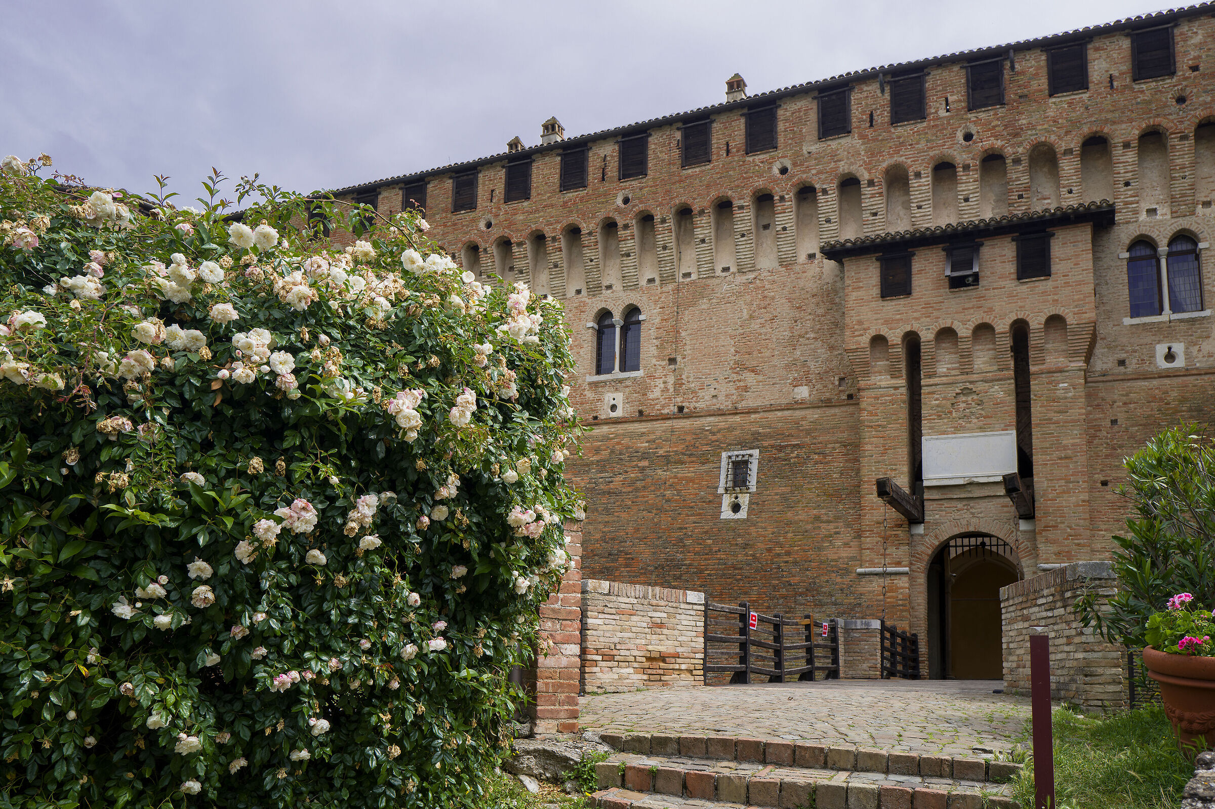 Love, who forgives no loved one.....