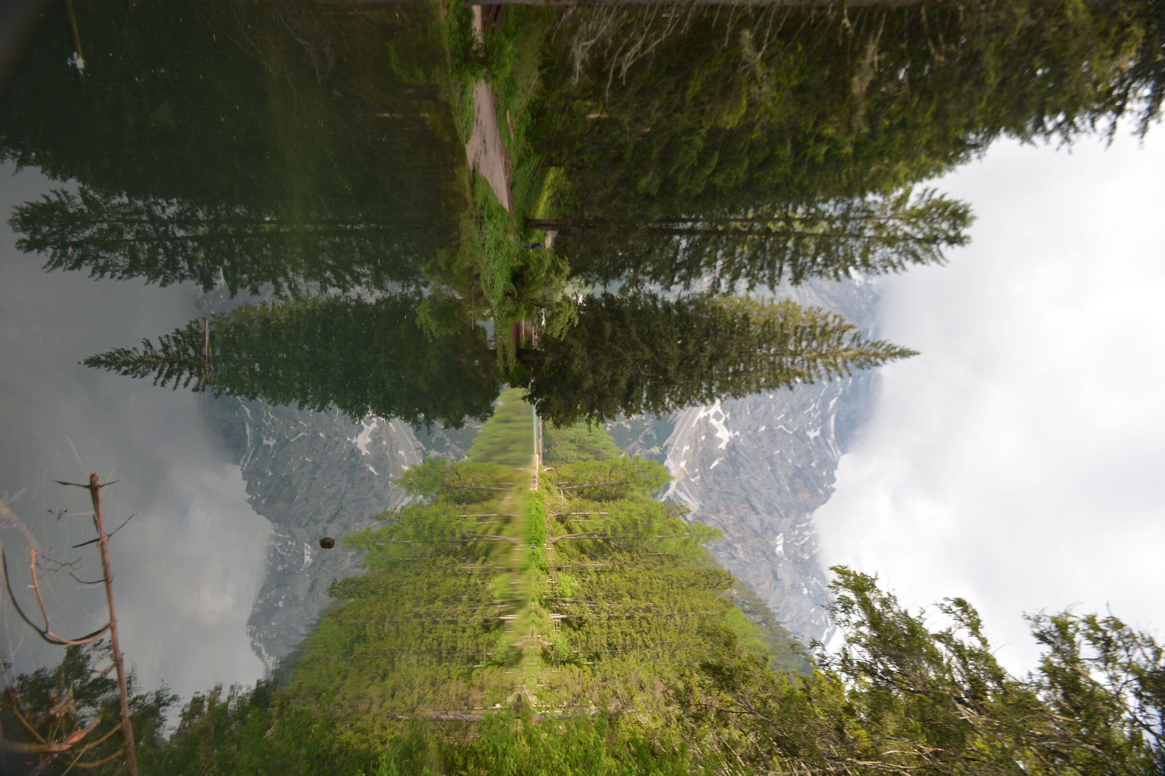 Braies reflexes