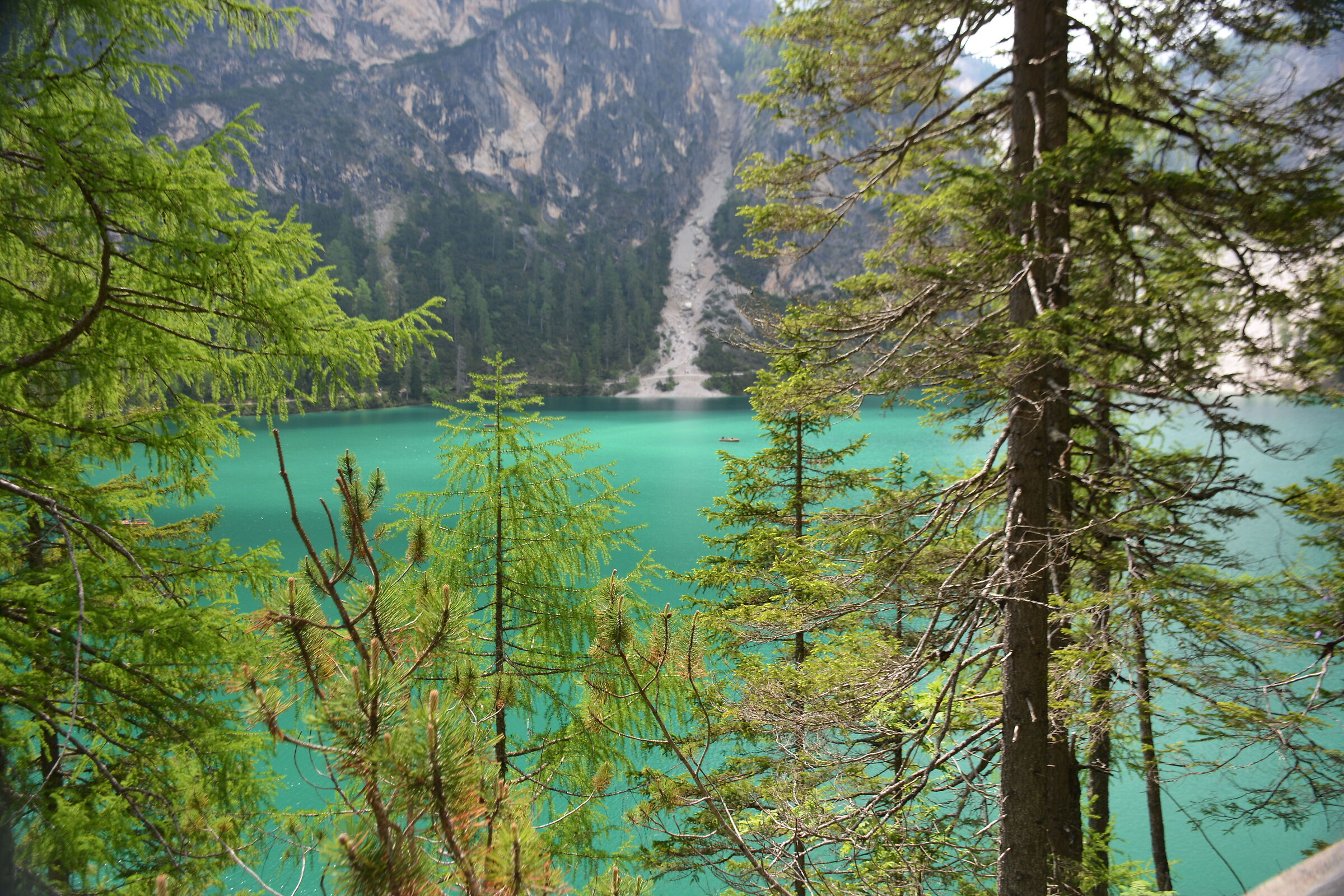 Braies colors