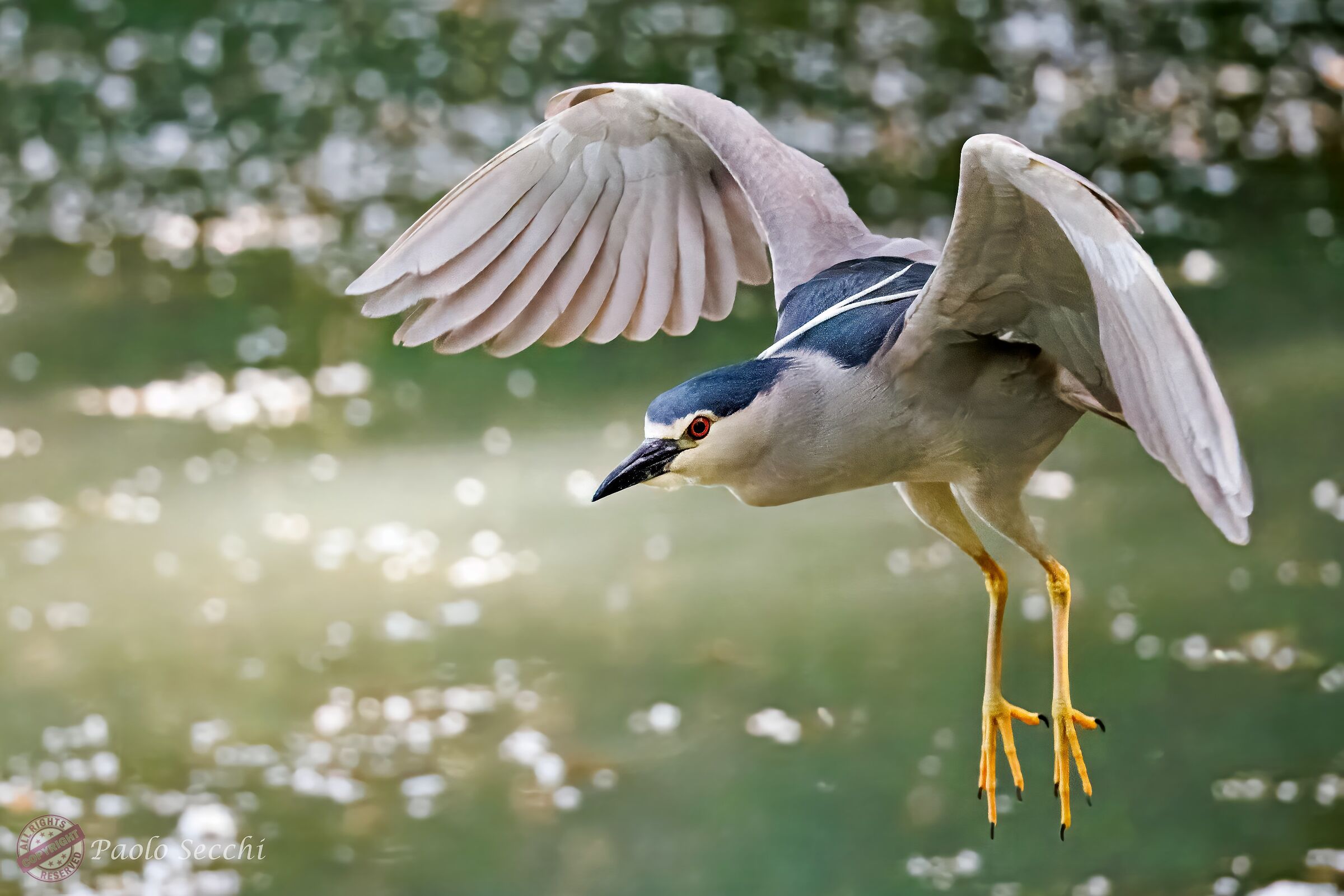 Roost approach