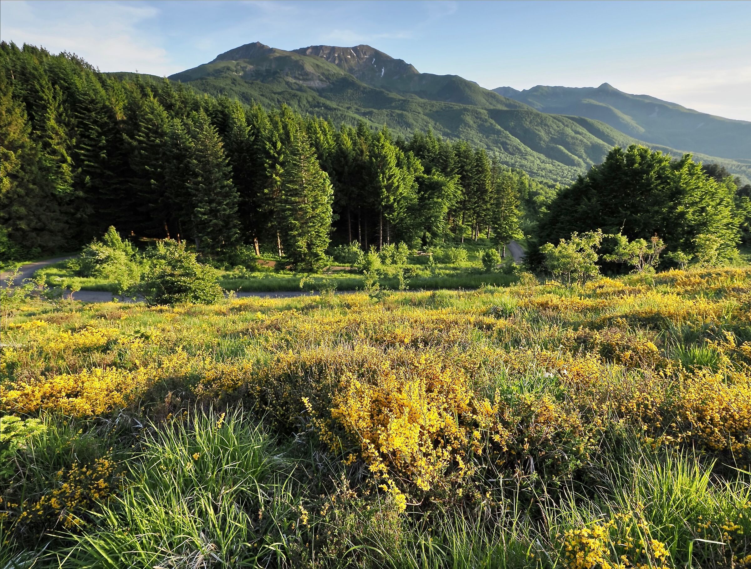 Reggio Emilia Apennines, Alpe di Succiso and ridge