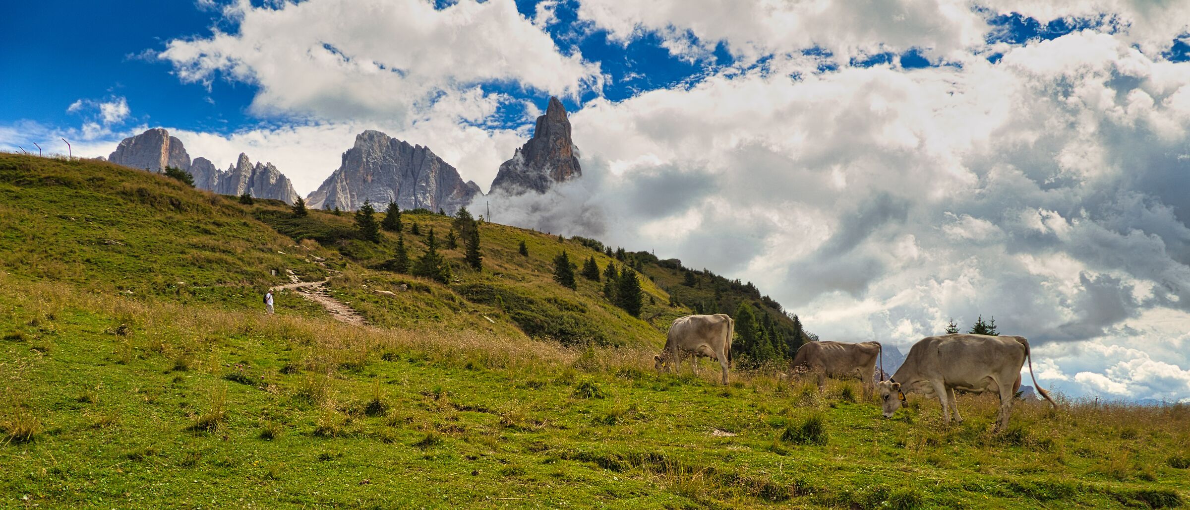Pale di san Martino