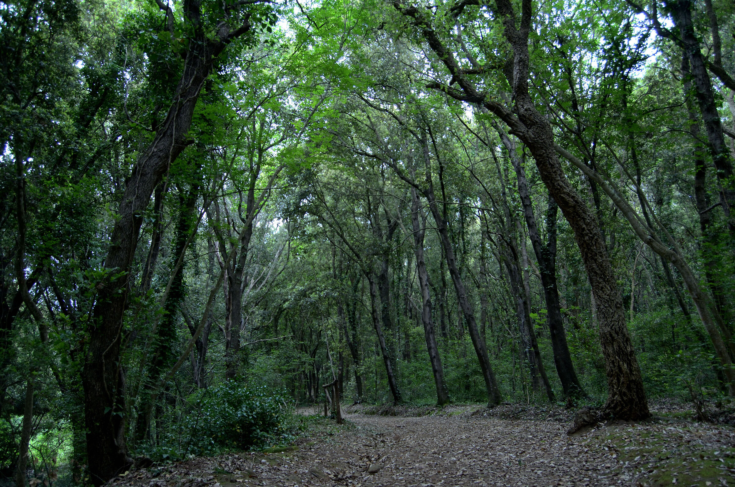 Necropolis of the Caves