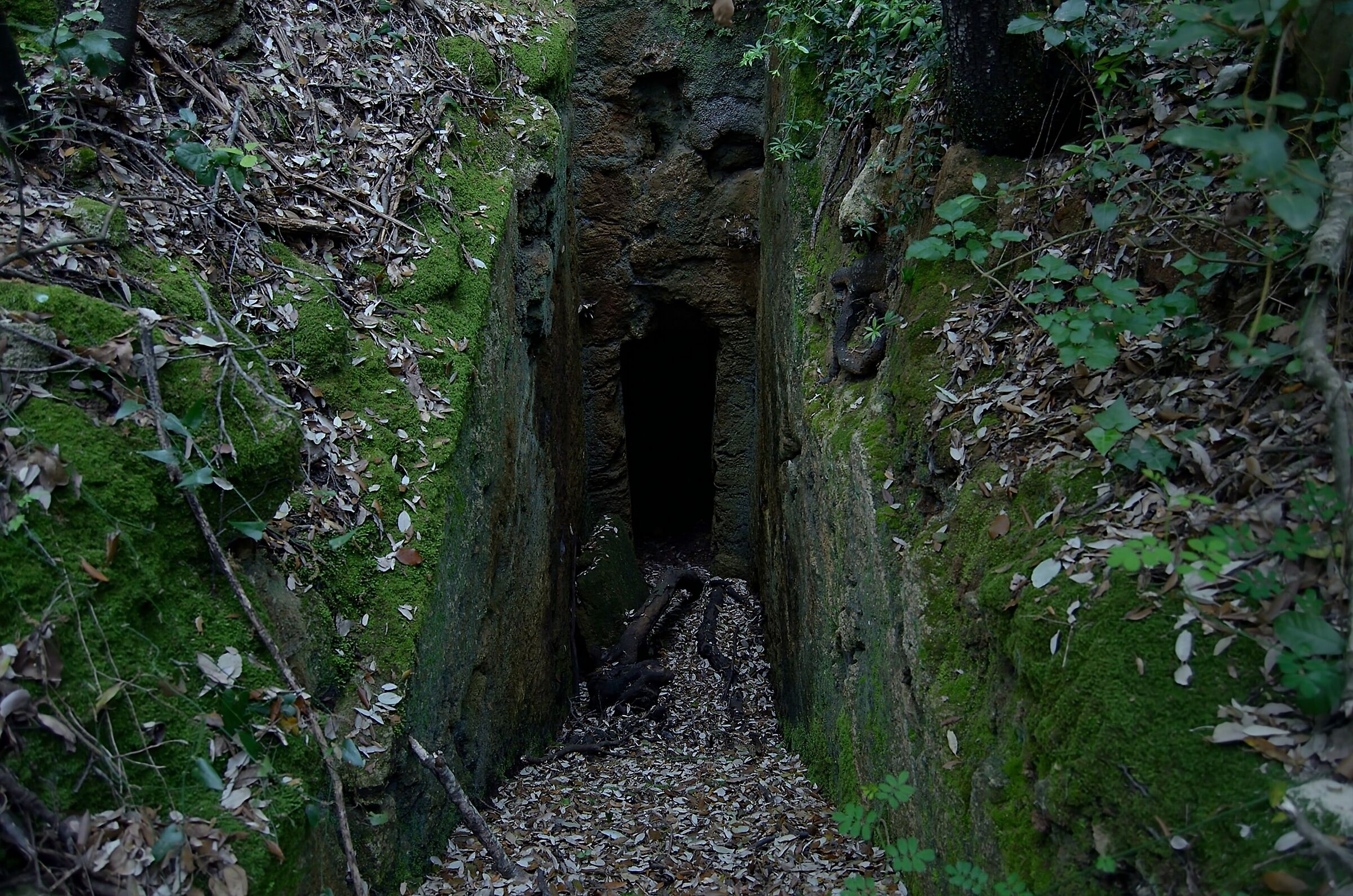Necropolis of the Caves 6