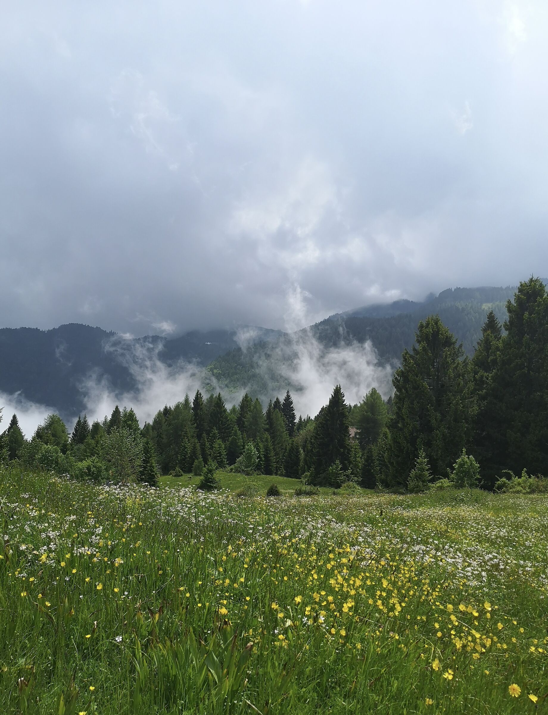 nuvole che corrono