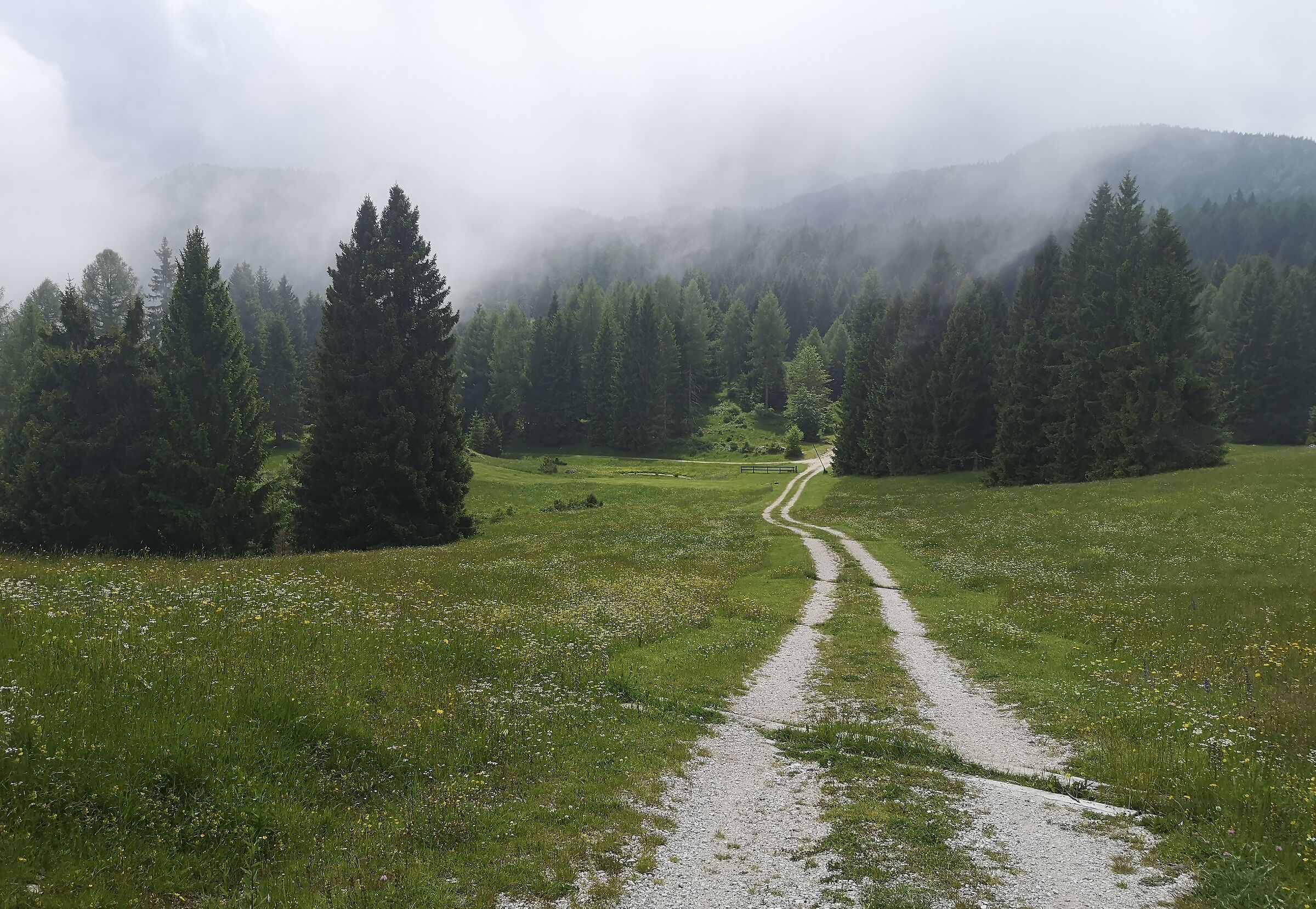 nuvole che corrono