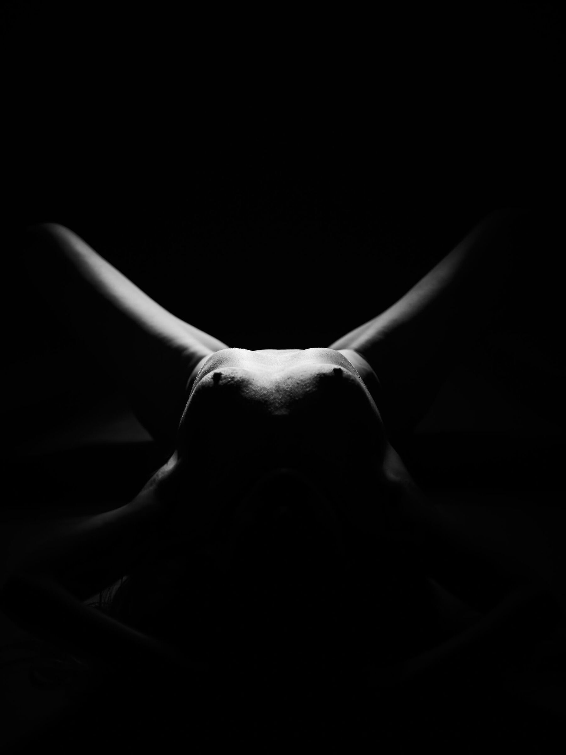 alex from ther front