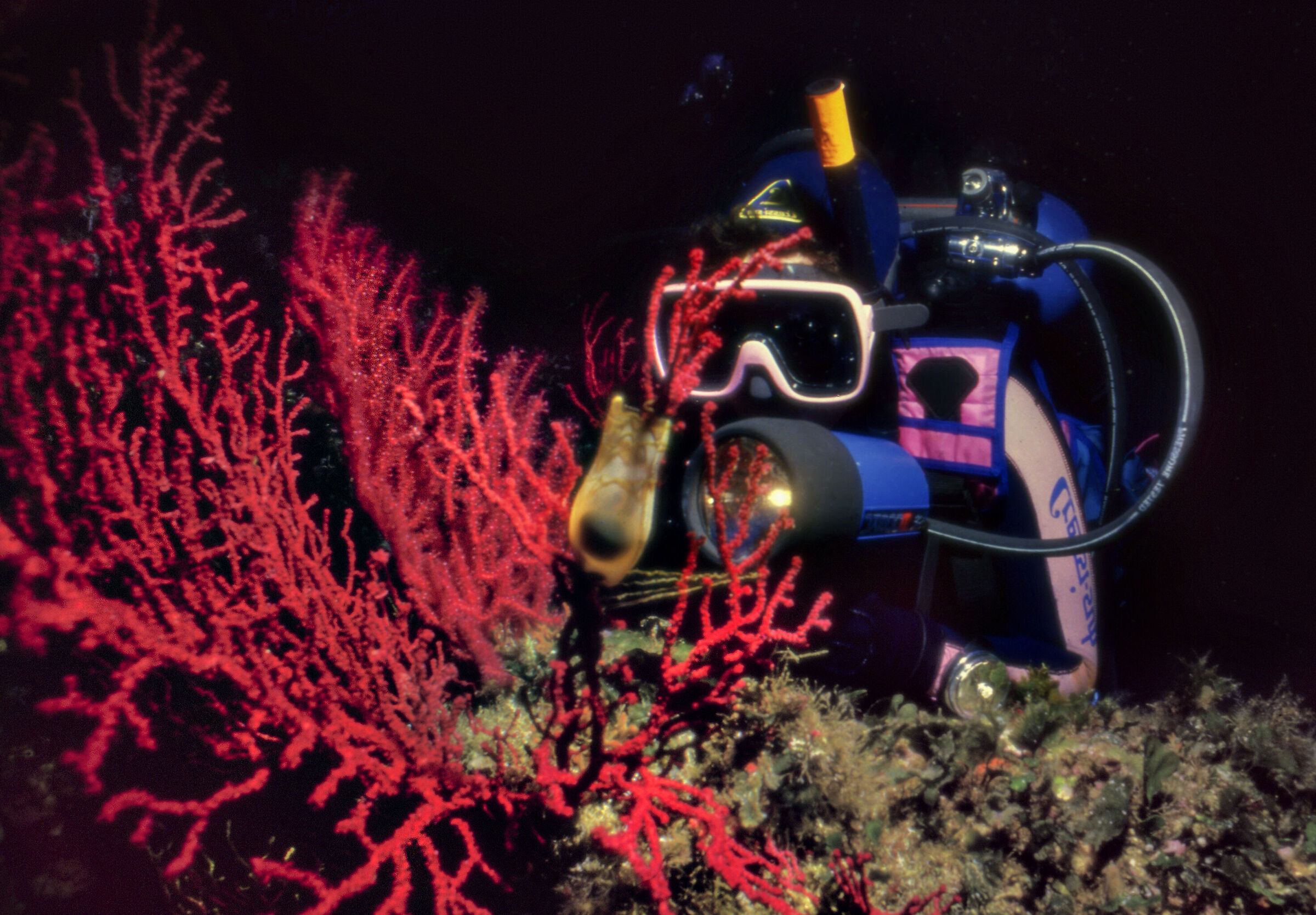 Di notte in Mediterraneo