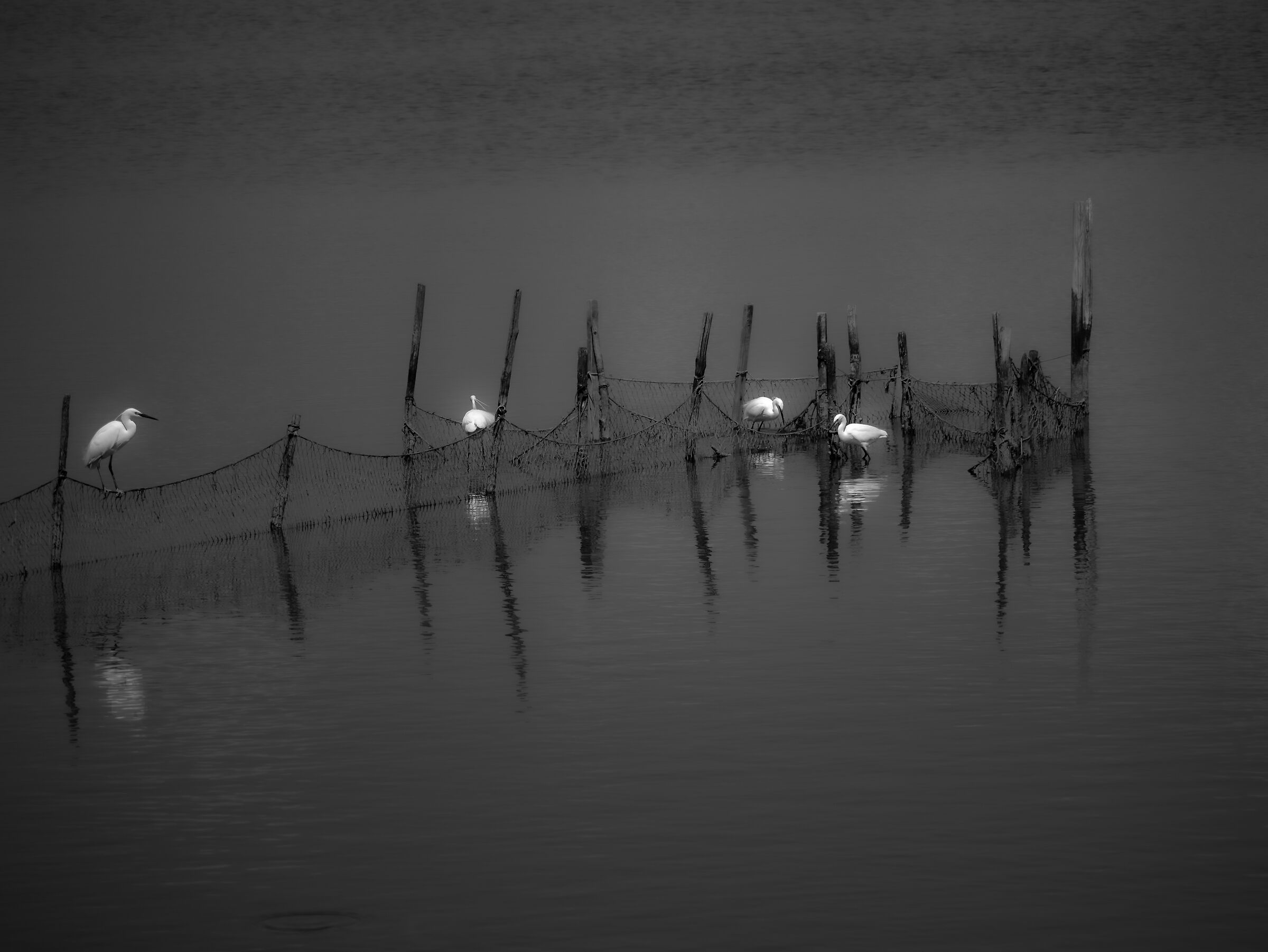 Atmosfere lagunari...