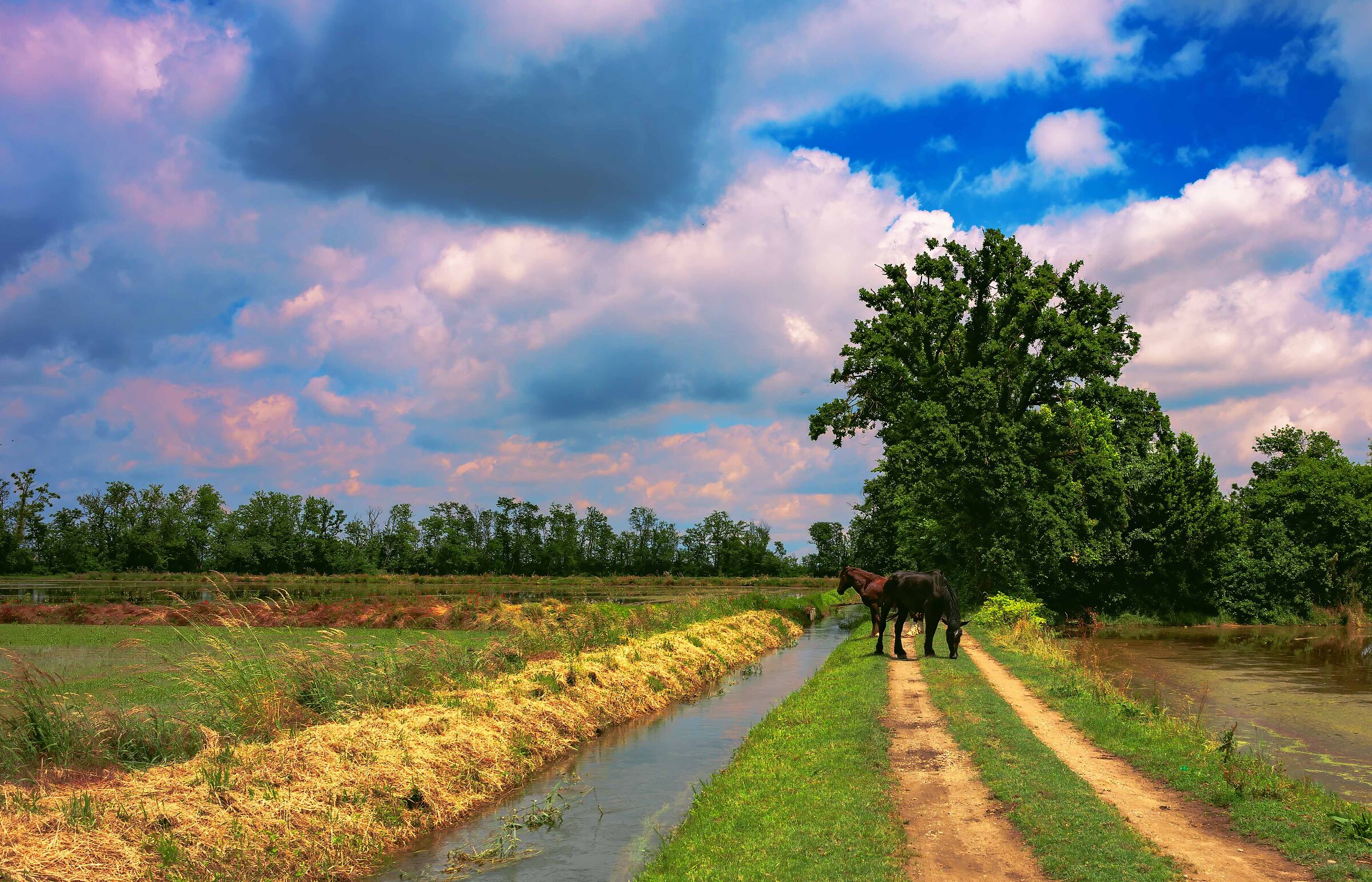 … I cavalli son stanchi nell'umida sera