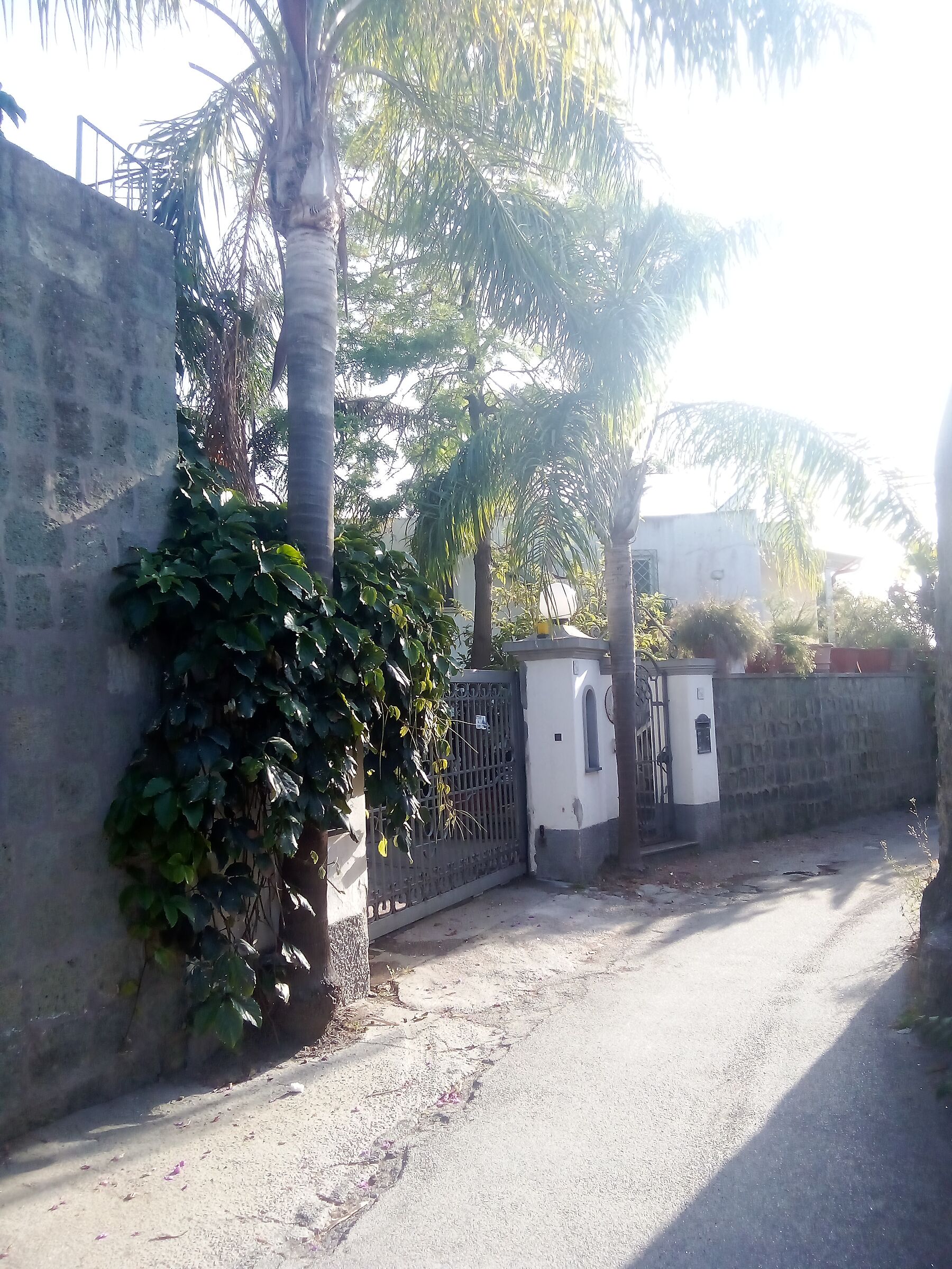 Entrance to villa with tropical plants.