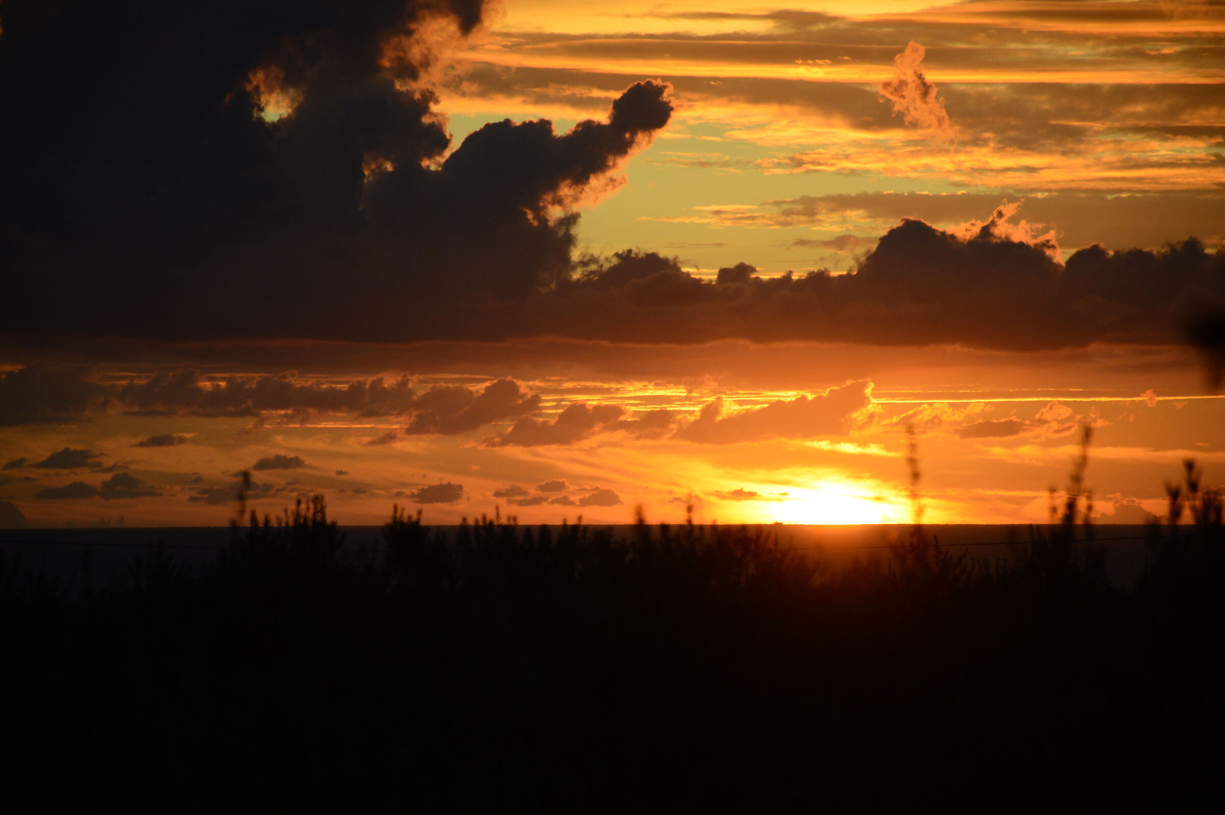 Alba