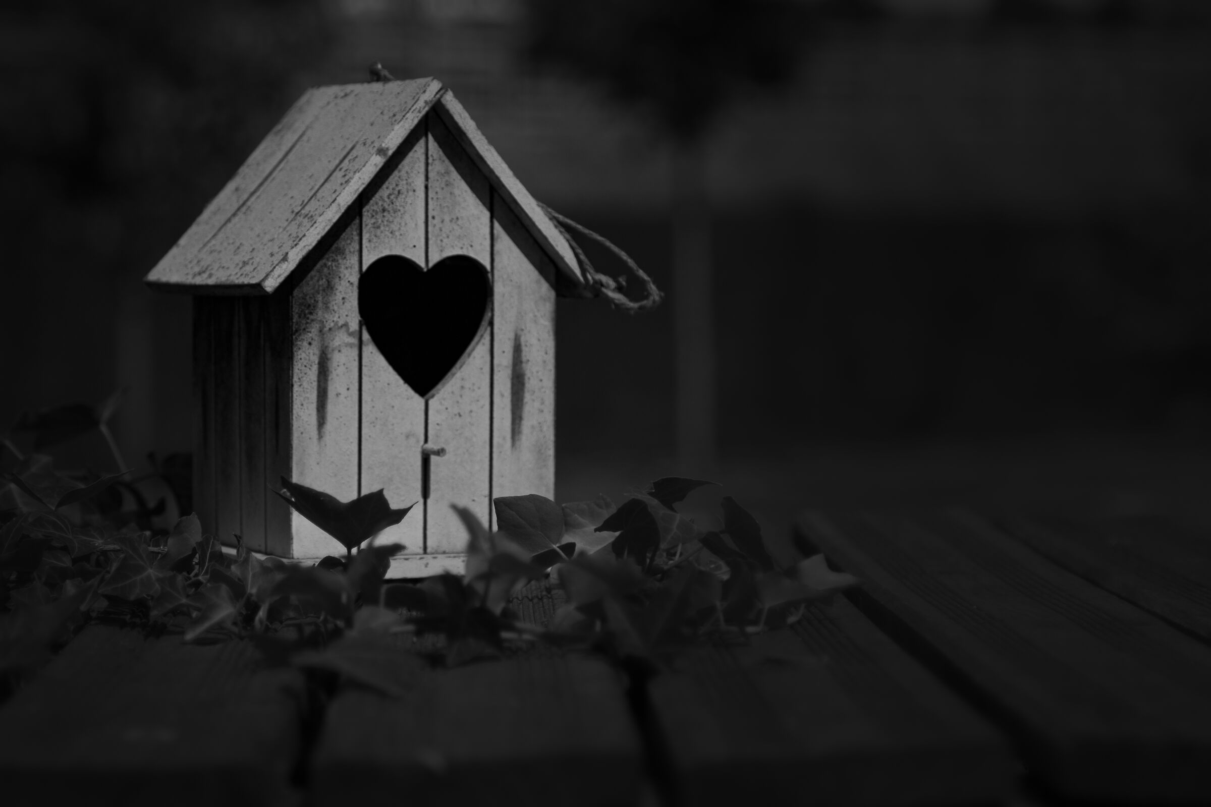 Via dei Matti, number 0