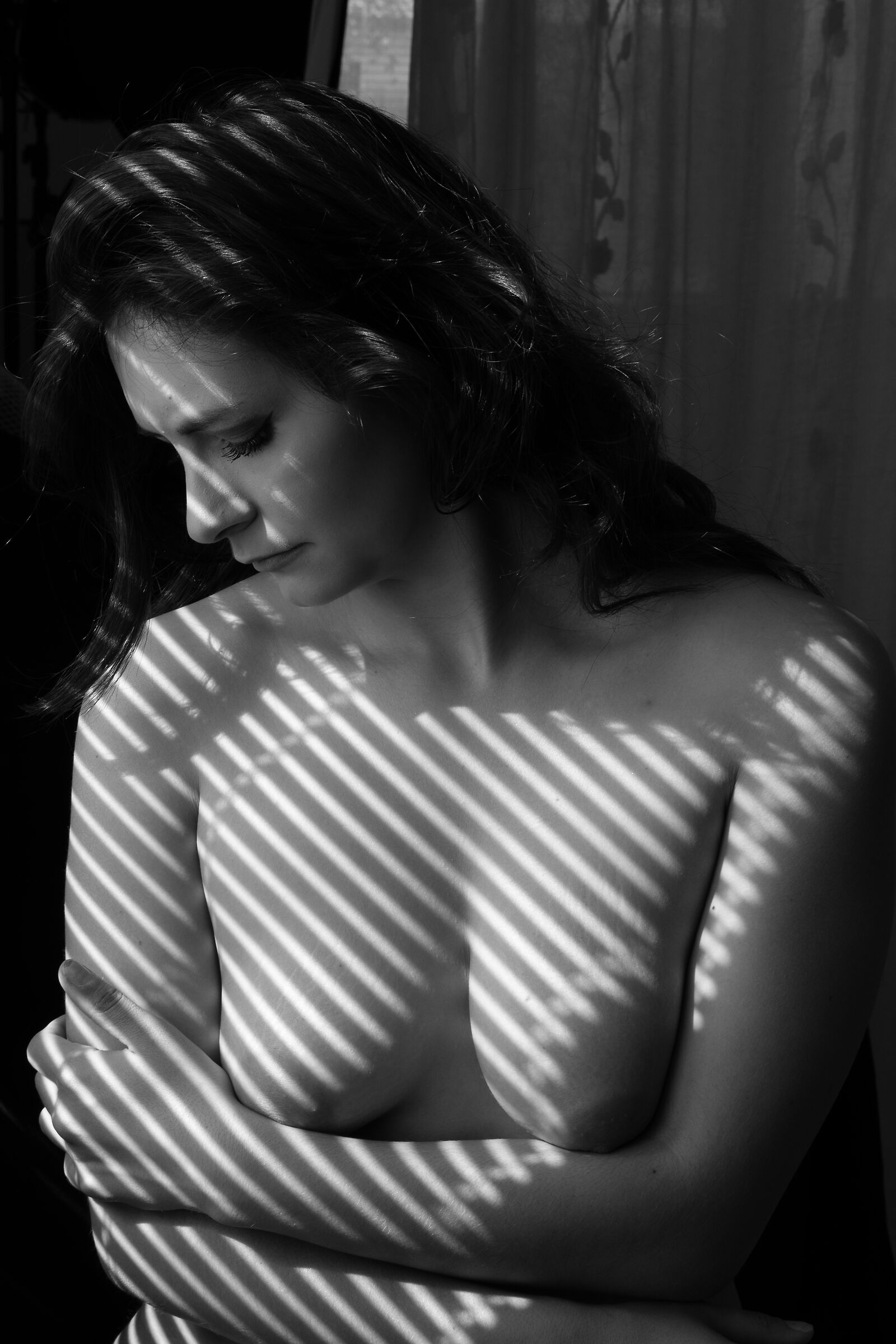Dafne 31