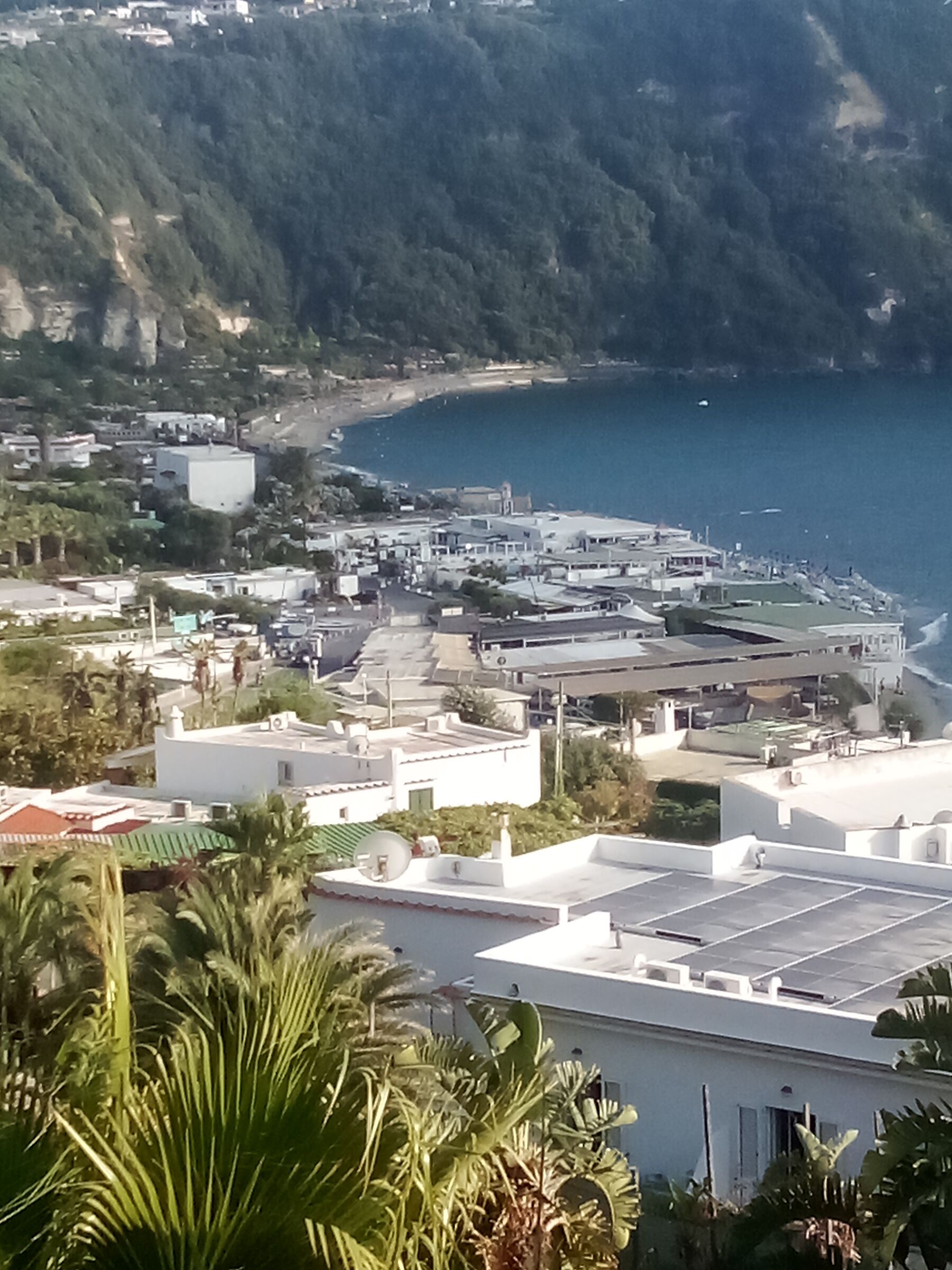 Forio - Citara view from above