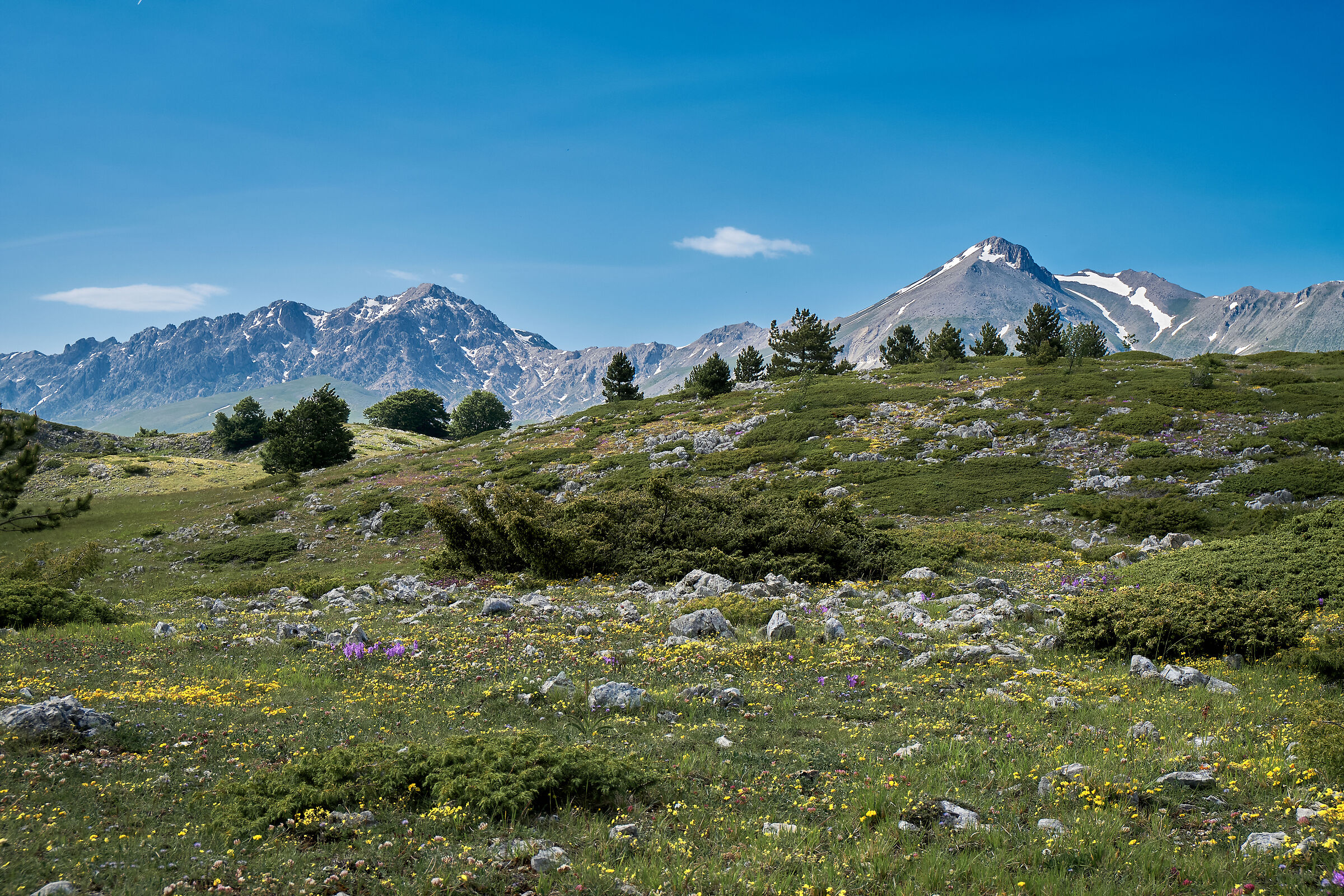 Primavera Gran Sasso 1