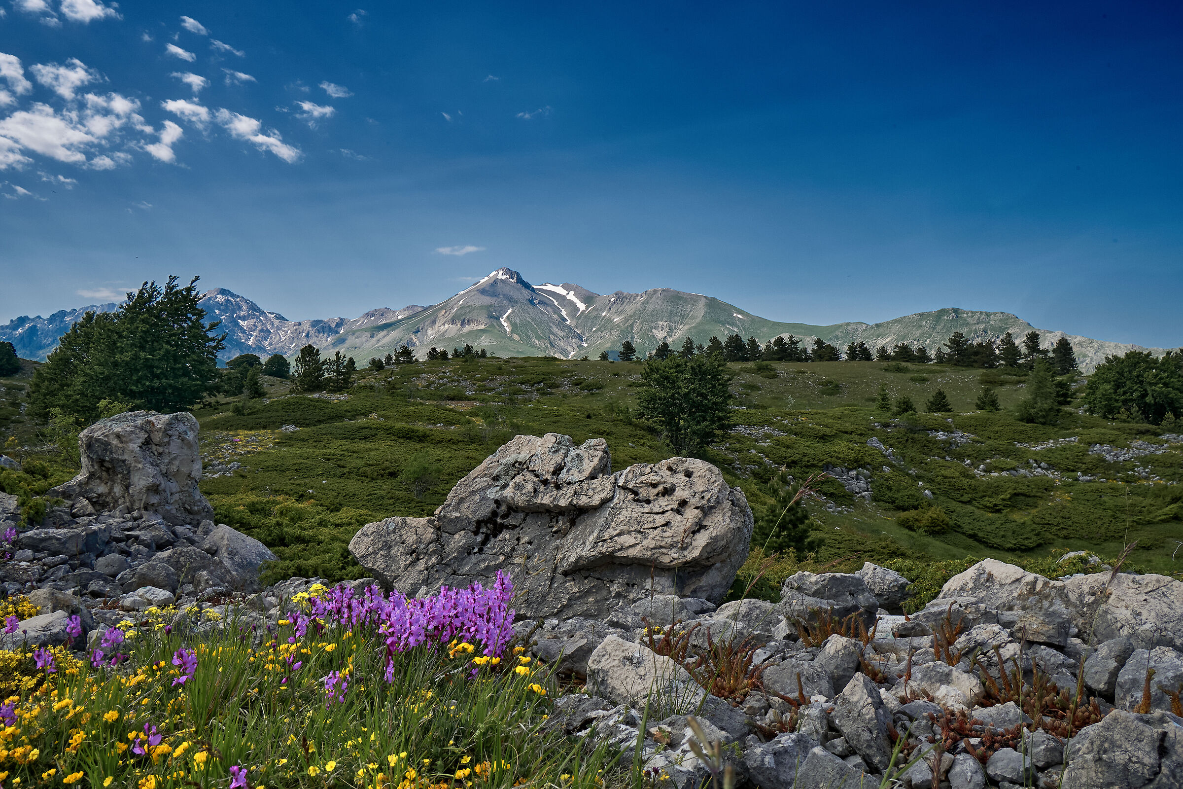 Primavera Gran Sasso 2