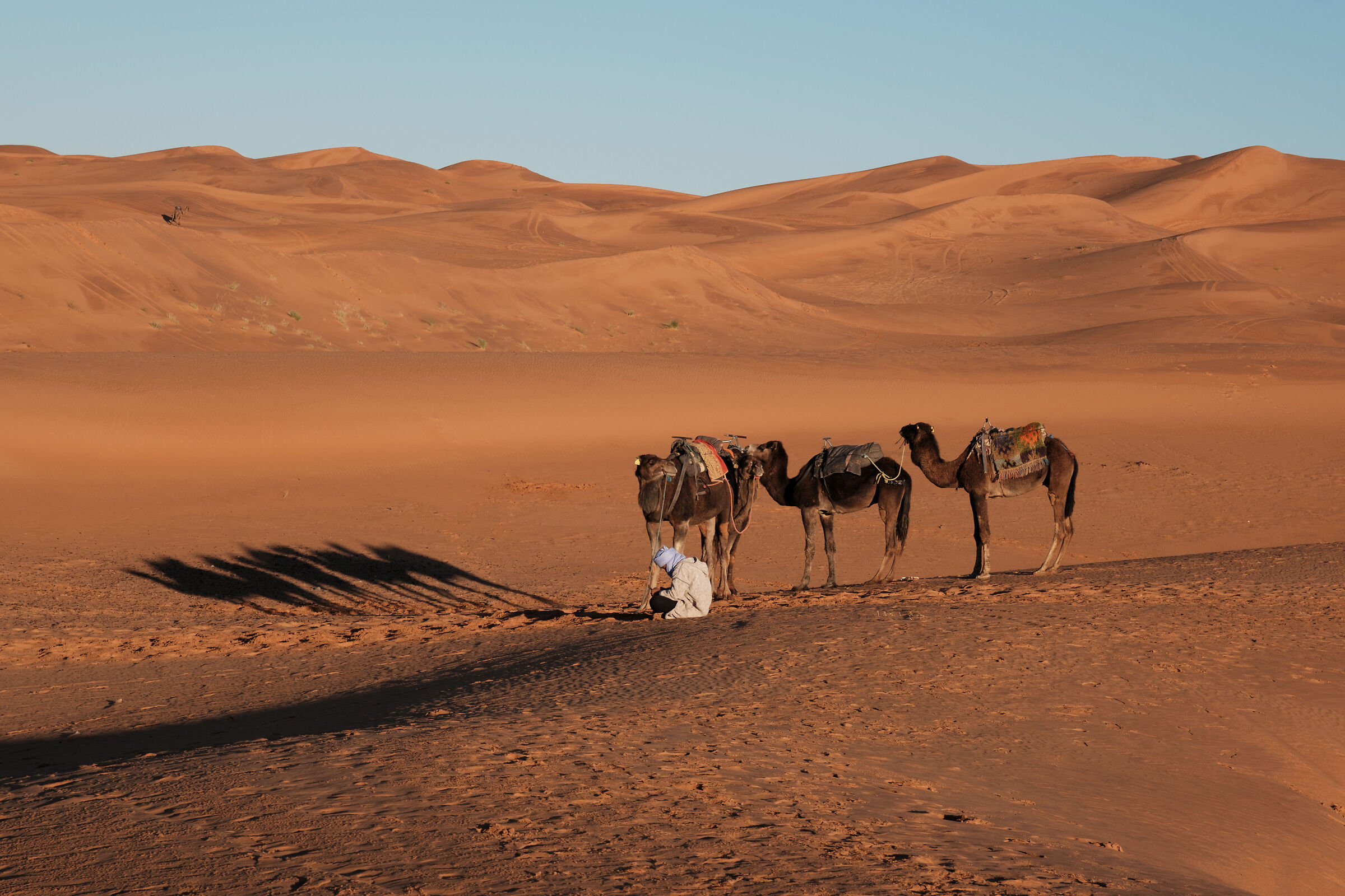 The tea-phone in the desert