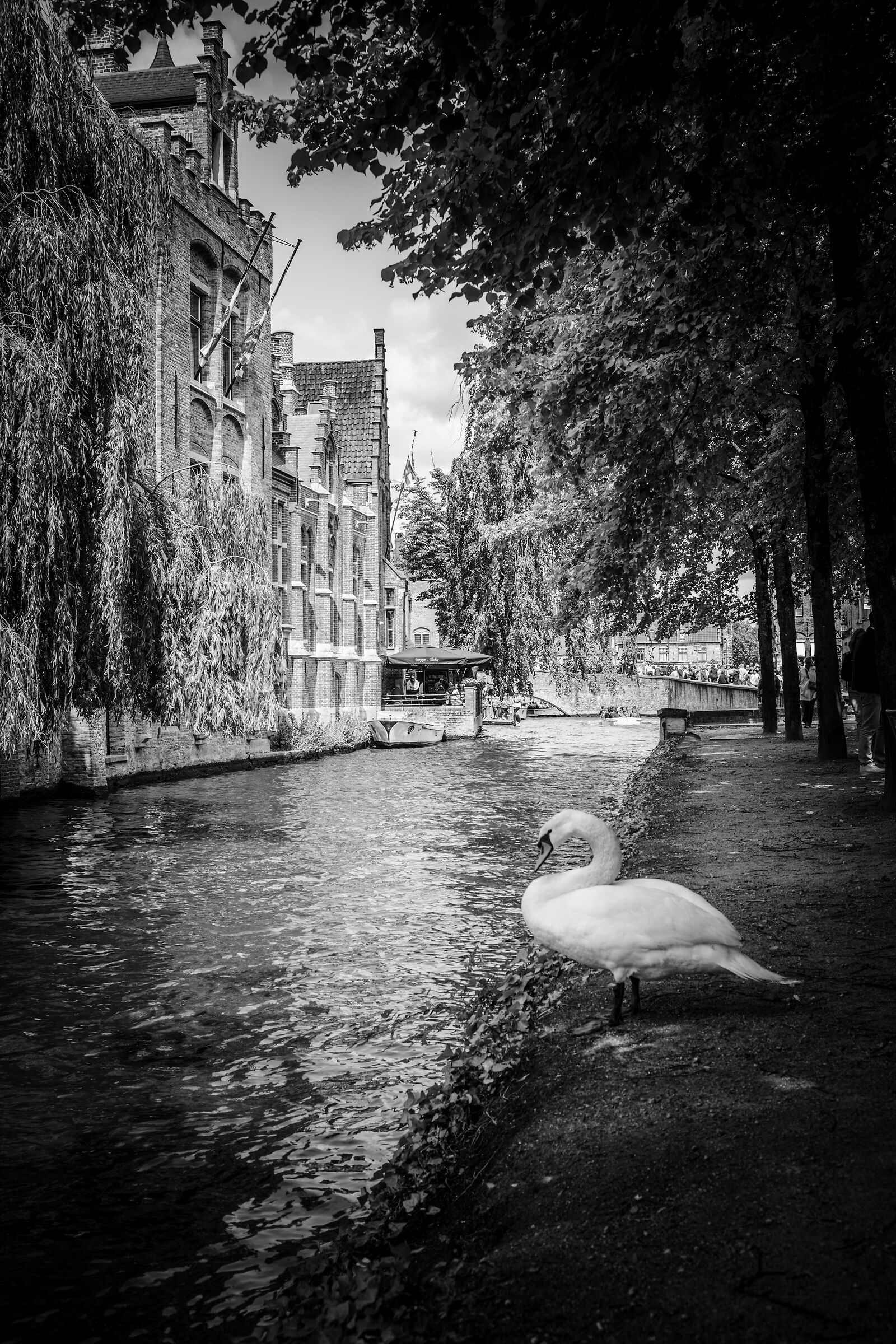 Untitled Photo
