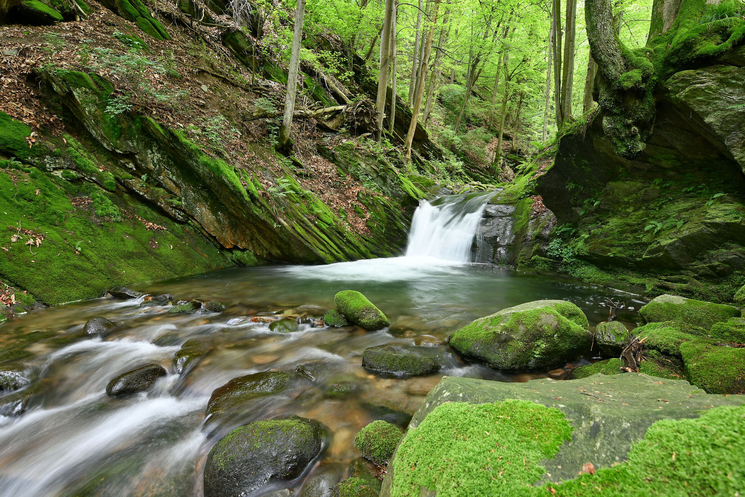 Il canto dell'acqua...