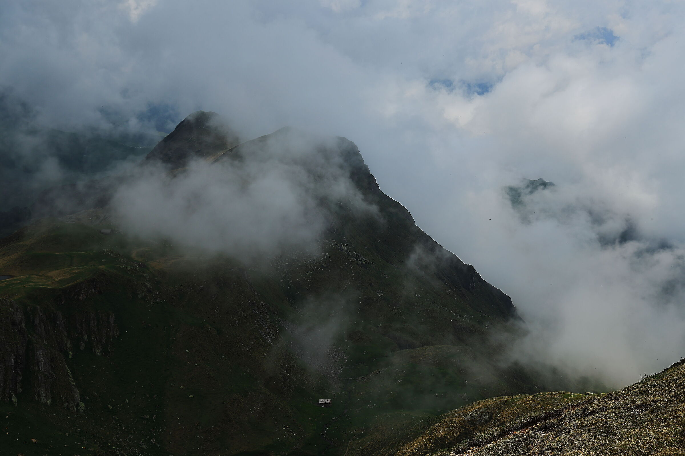 The charm of the mists