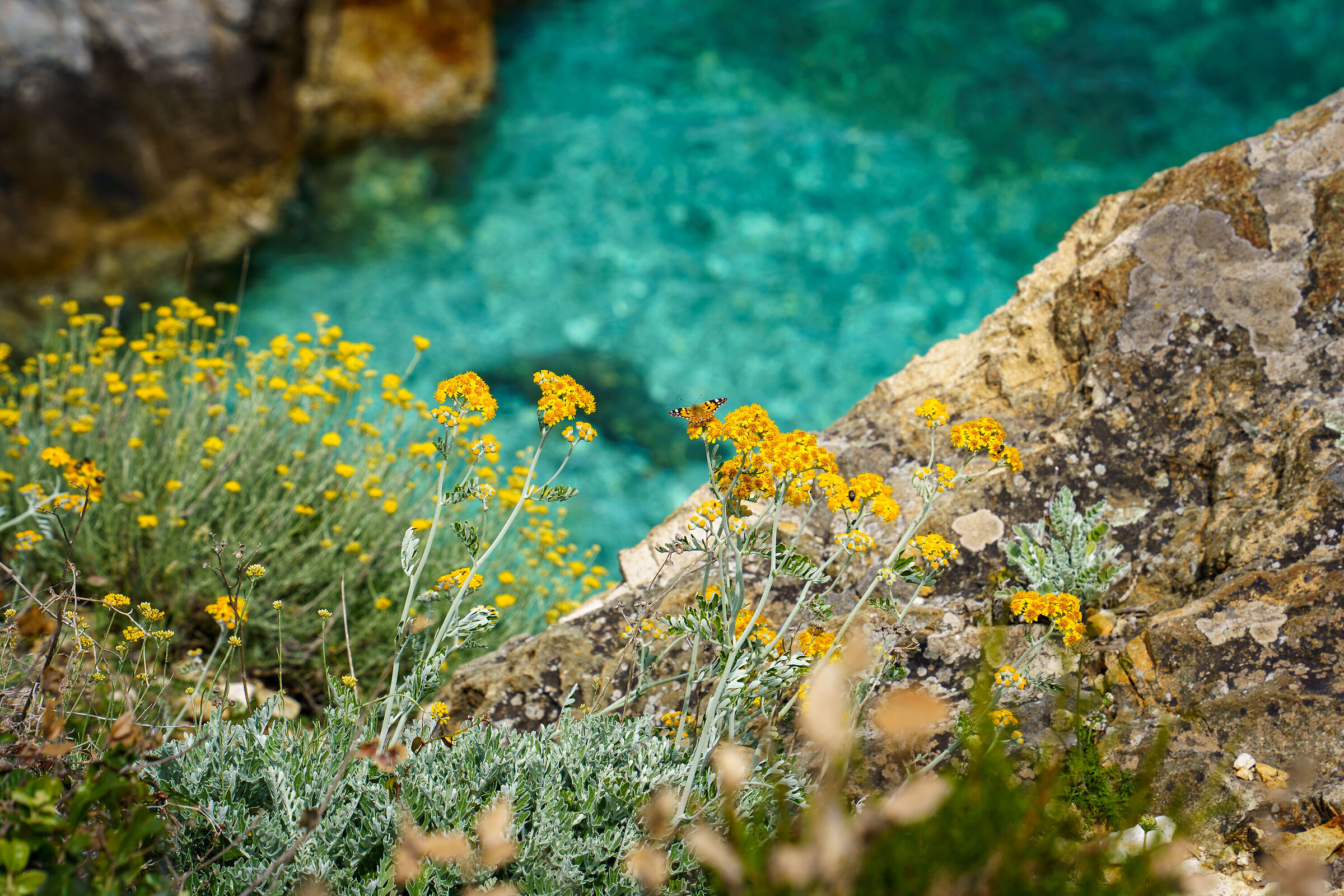 Colors of Elba