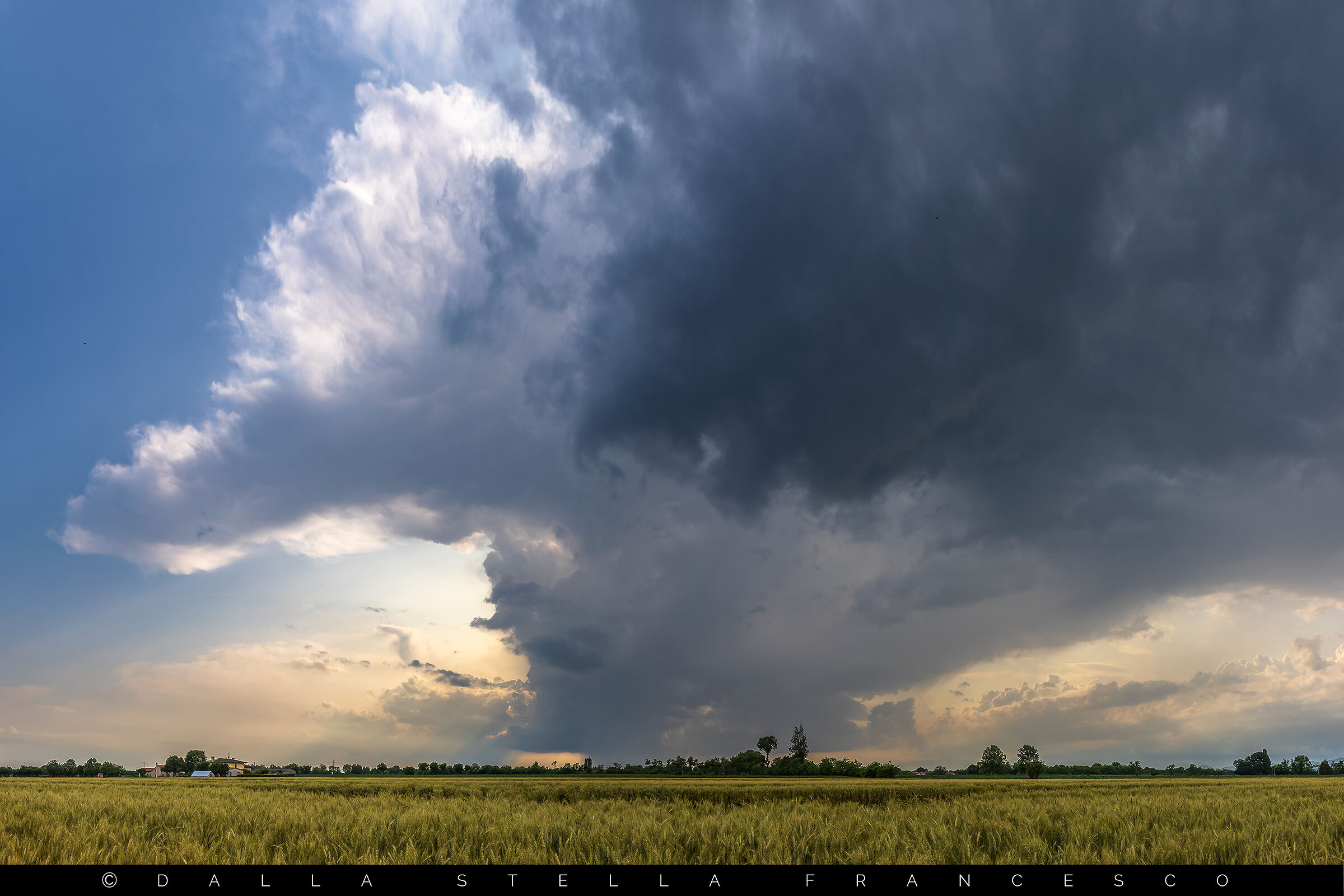 Clouds over wheat fields