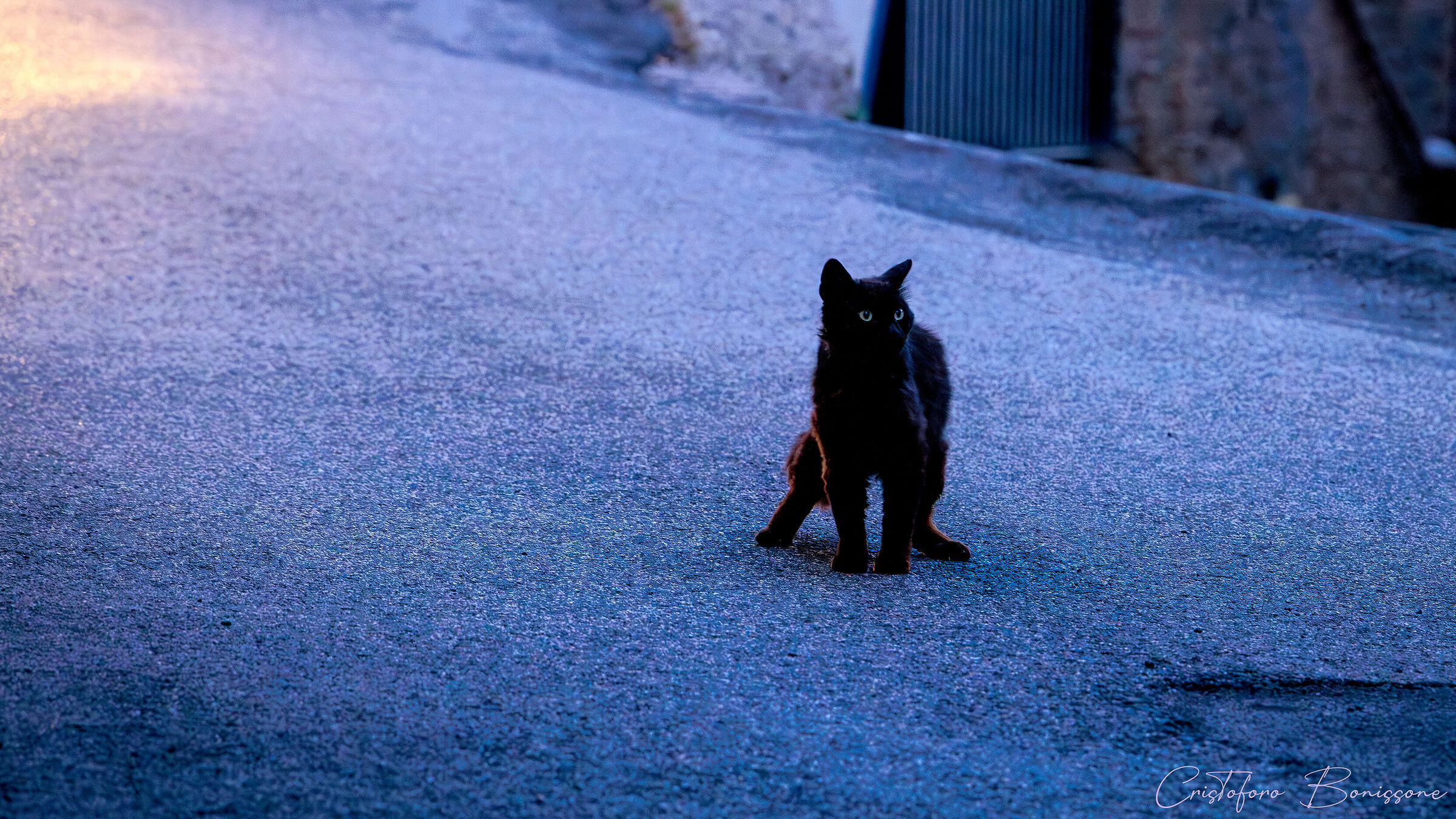 Attenzione, arriva la macchina