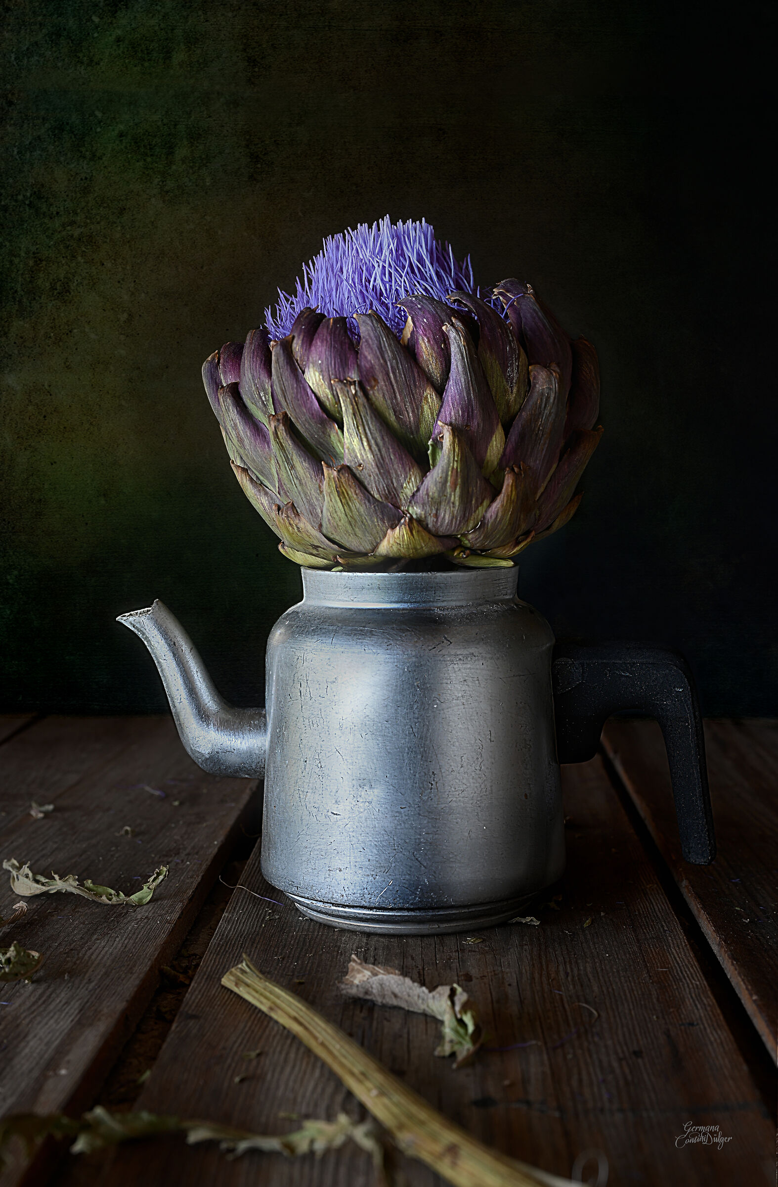 Artichoke flower in metal carafe