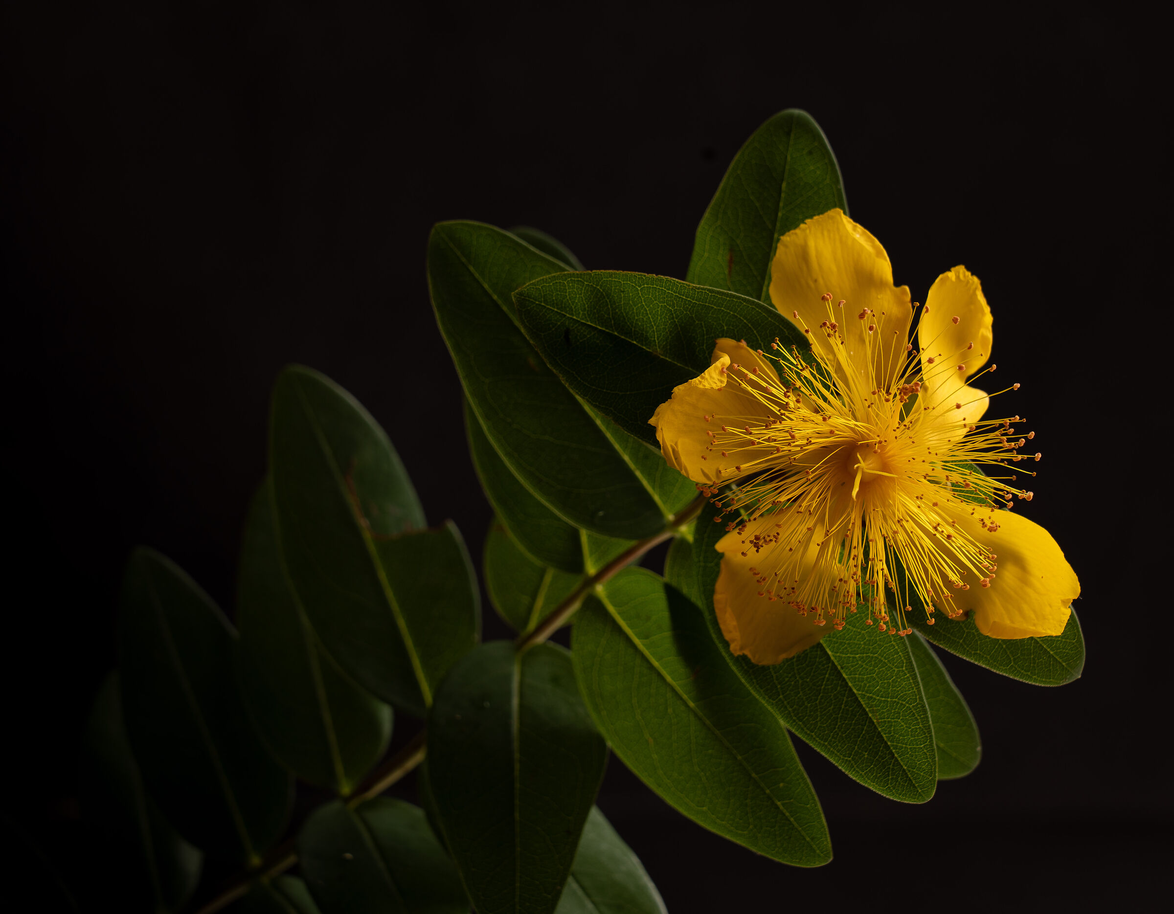 Tests with the Kiron 105