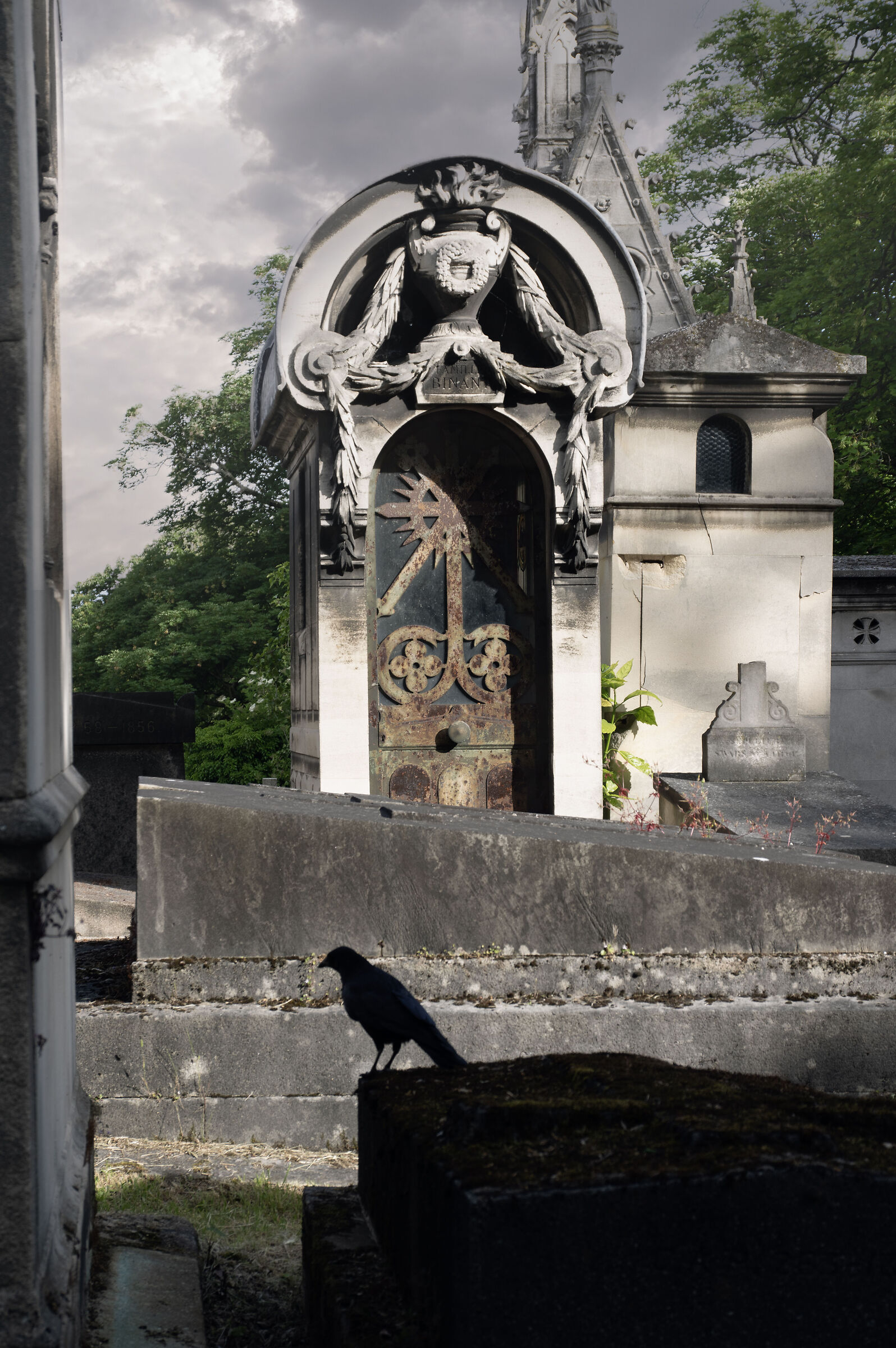 Untitled Photo