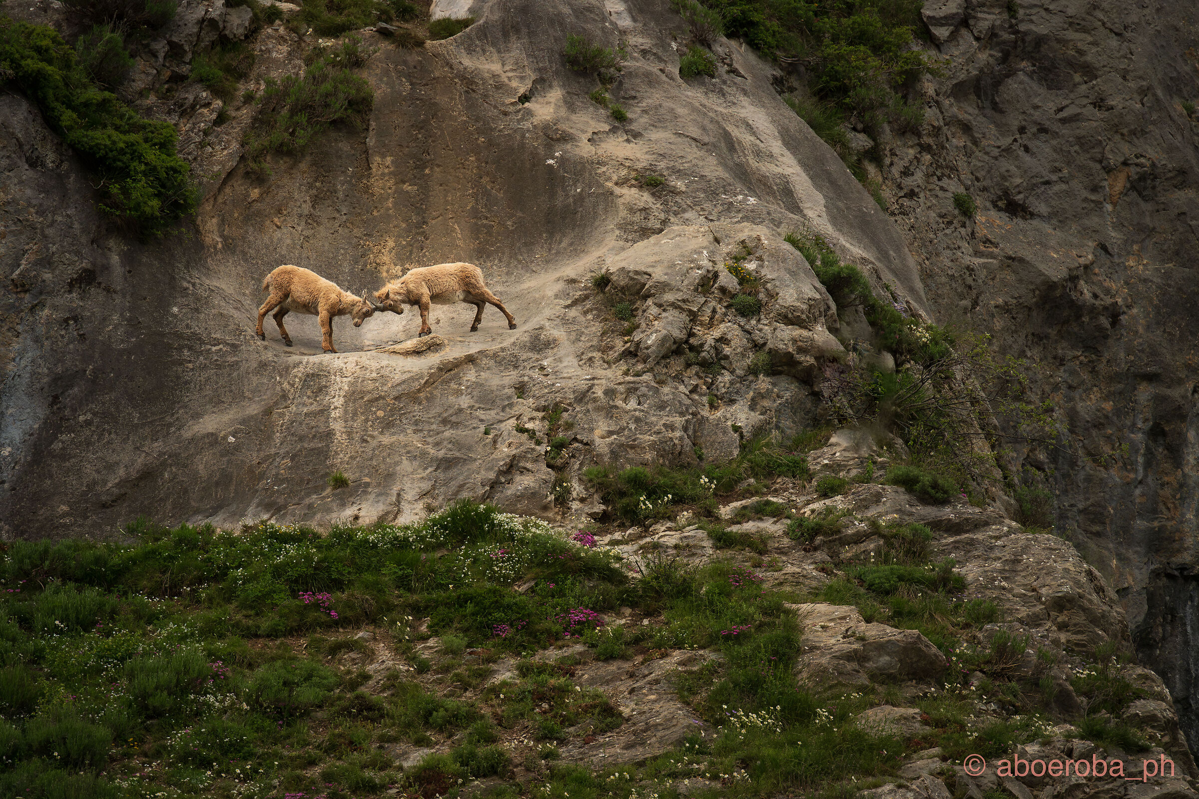 At the theatre in the stura valley