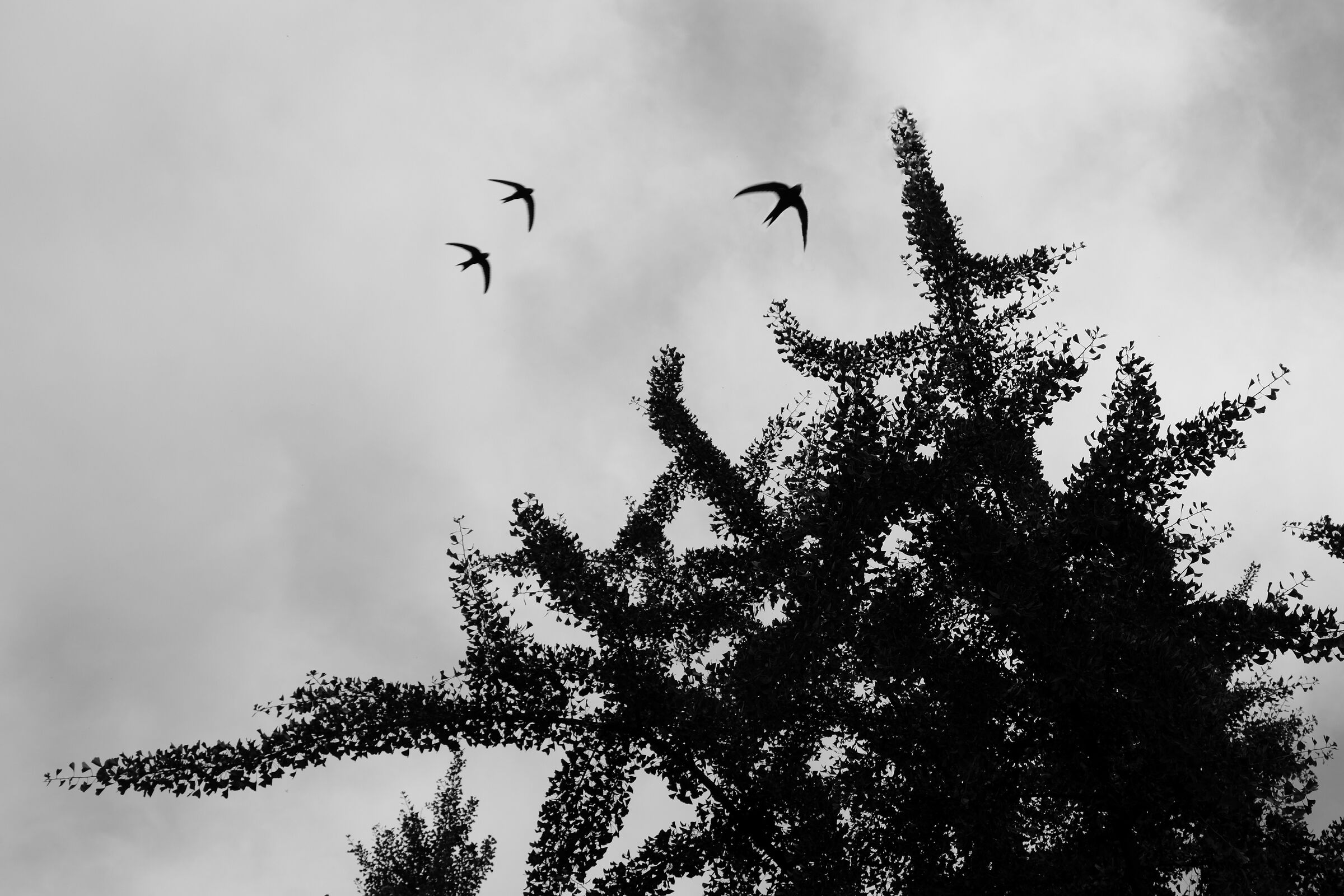 Three....