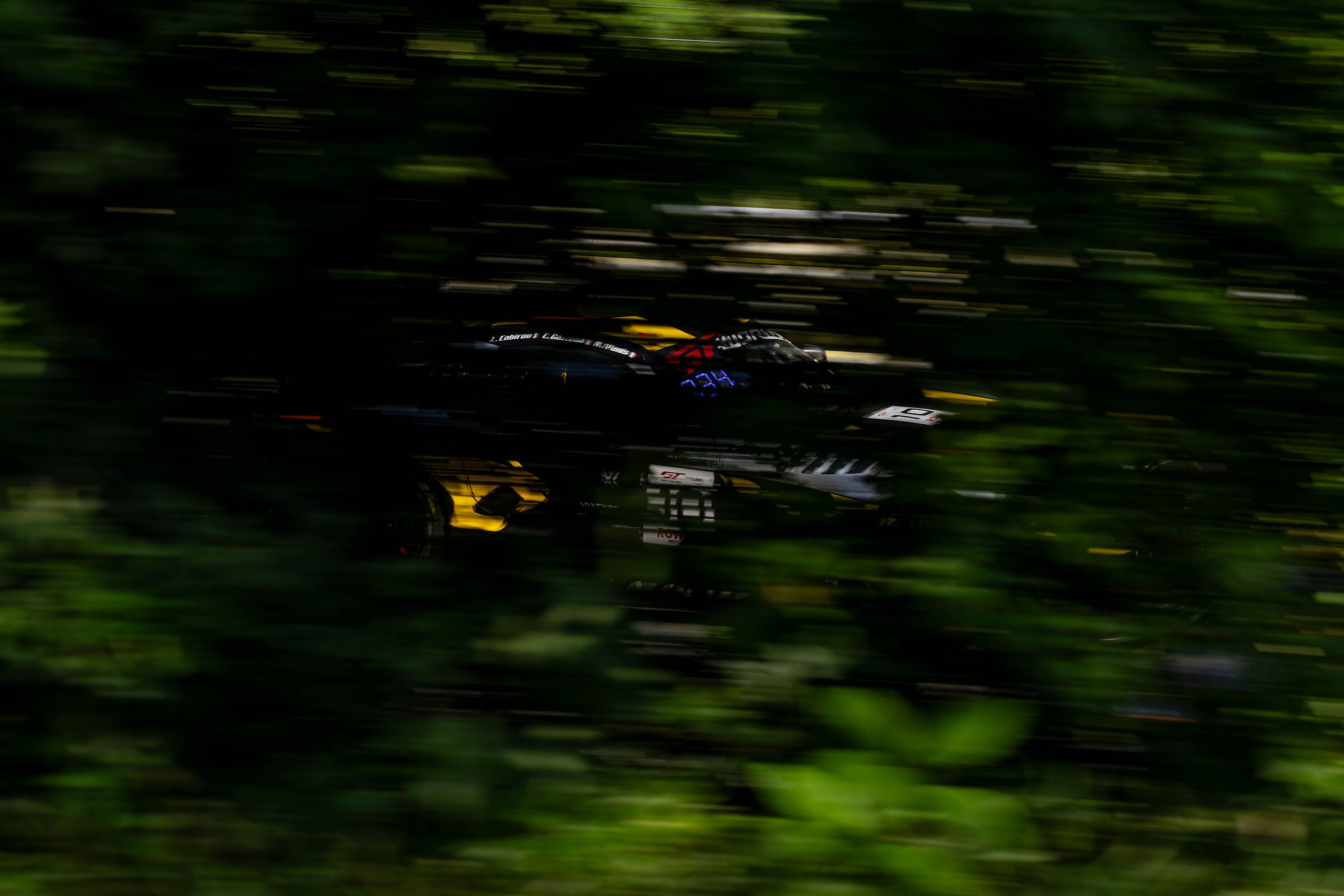 AMG GT among the shrubs
