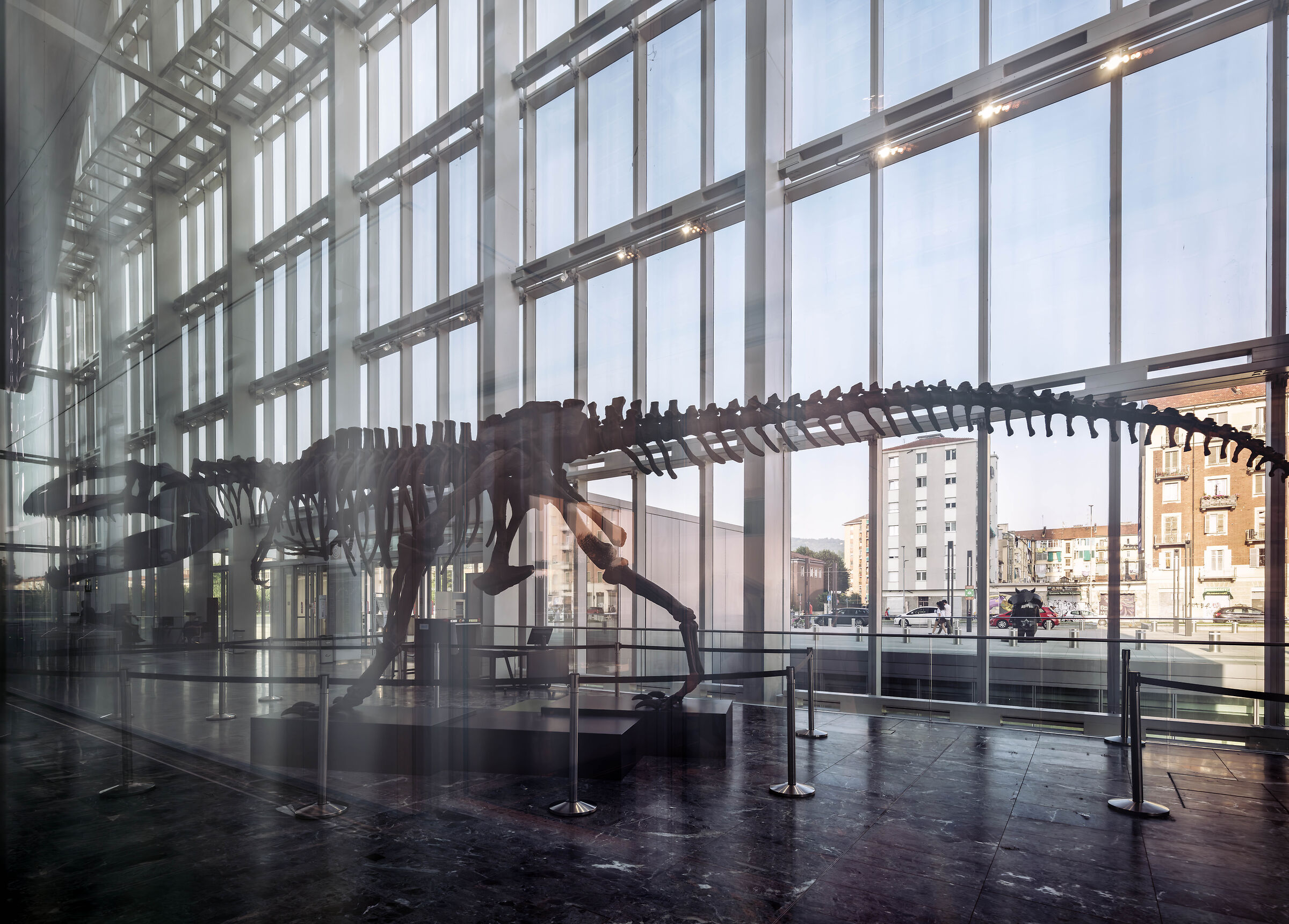 Dinosauro