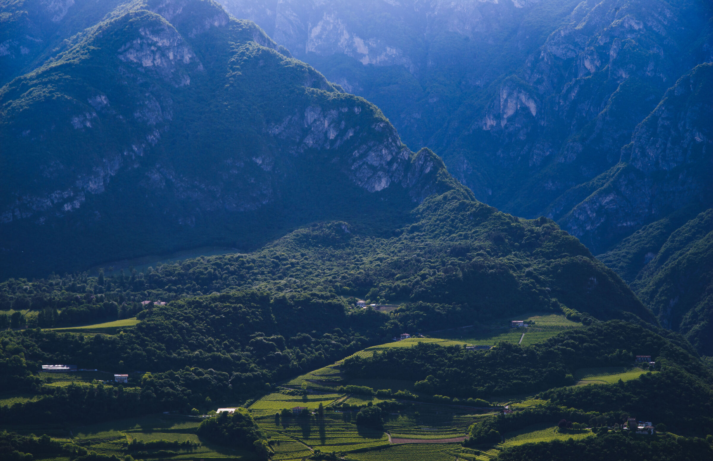 Le pendici di cima Palon