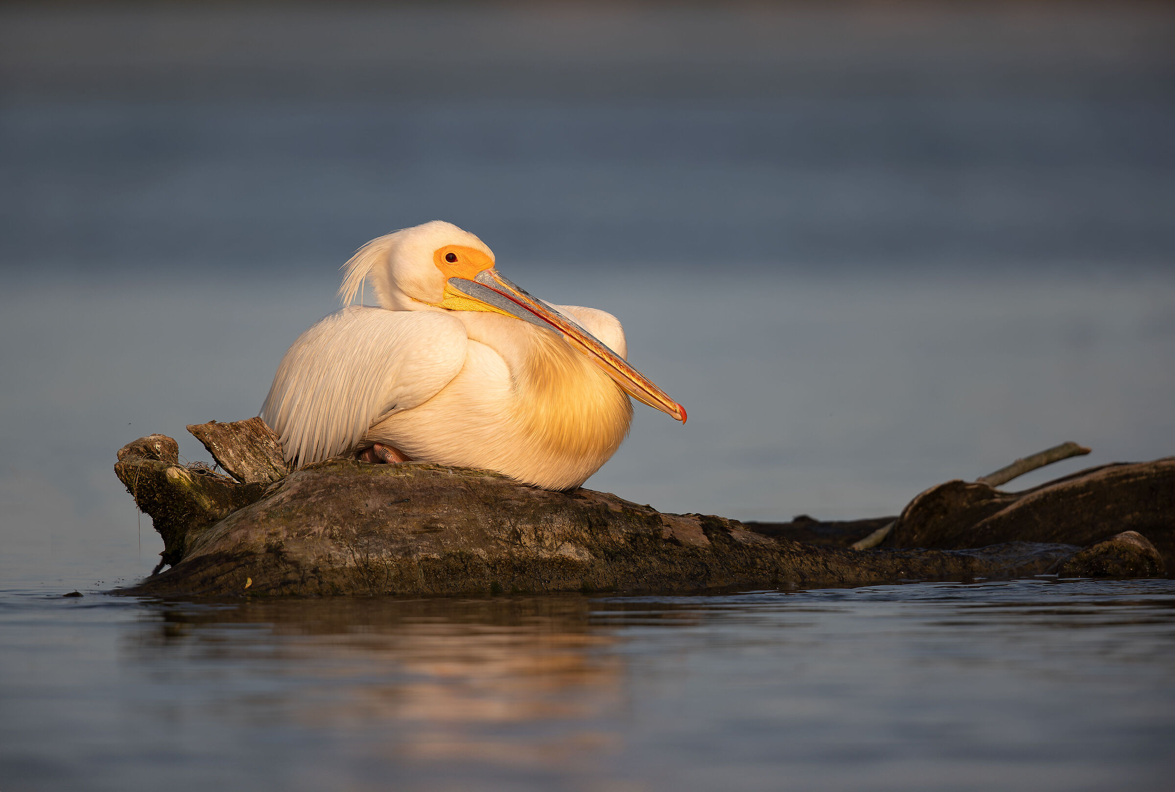 Tramonto sul Danubio...
