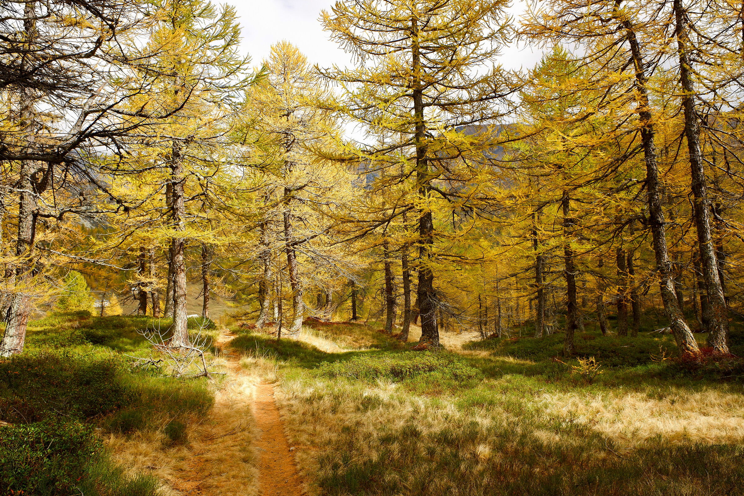 Passeggiando ad ottobre