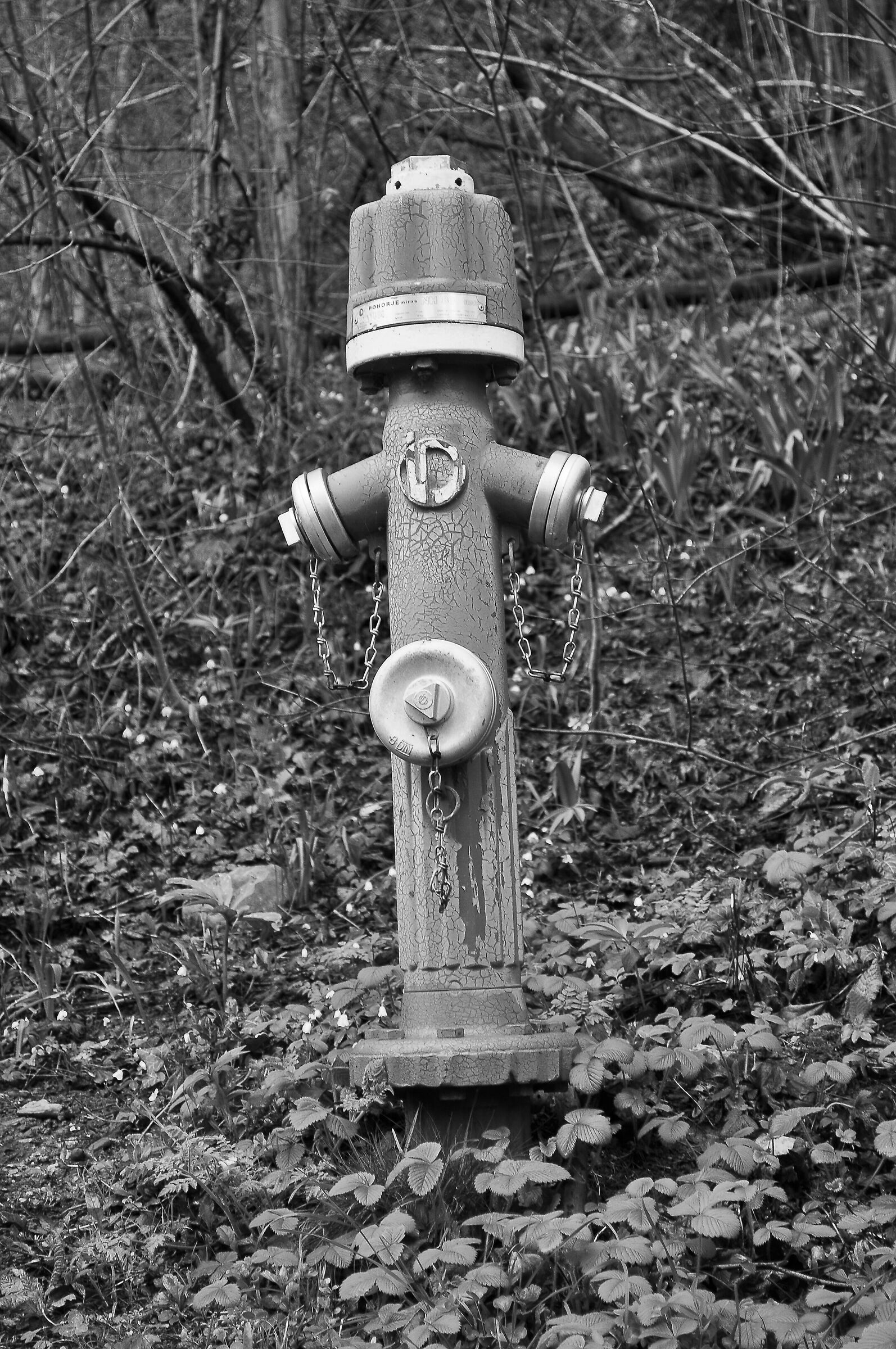 The hydrant