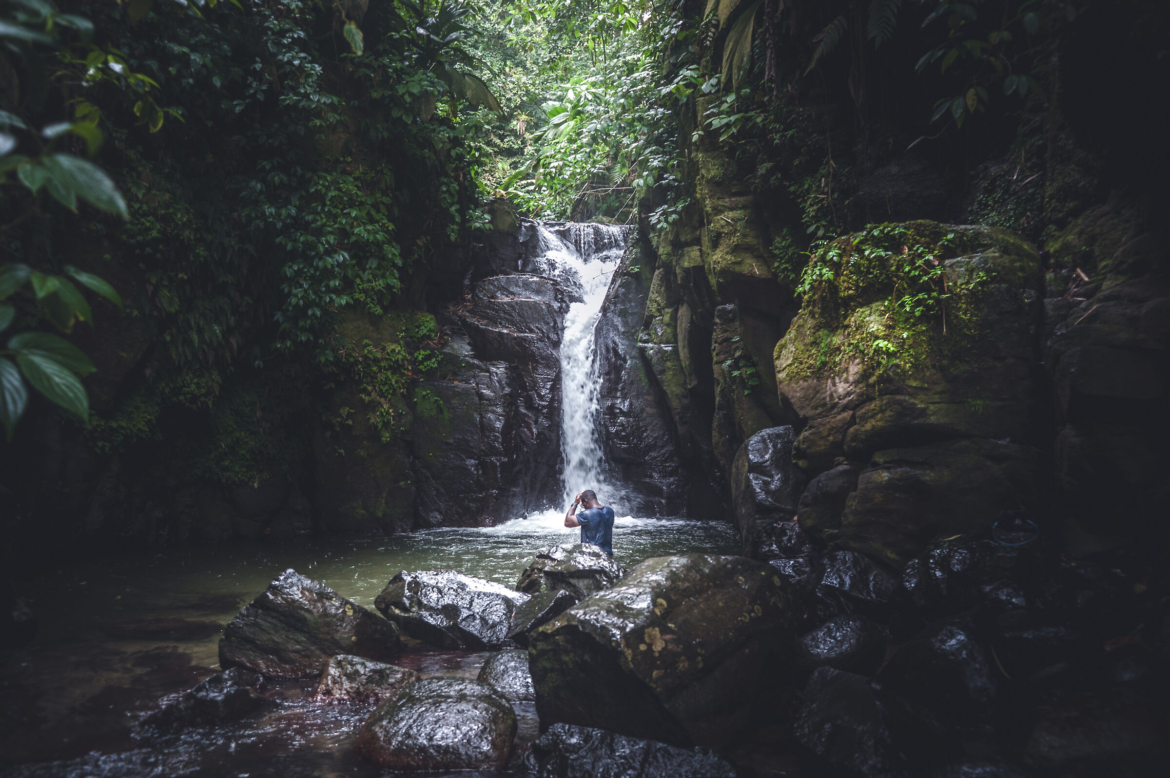 Nature lovers