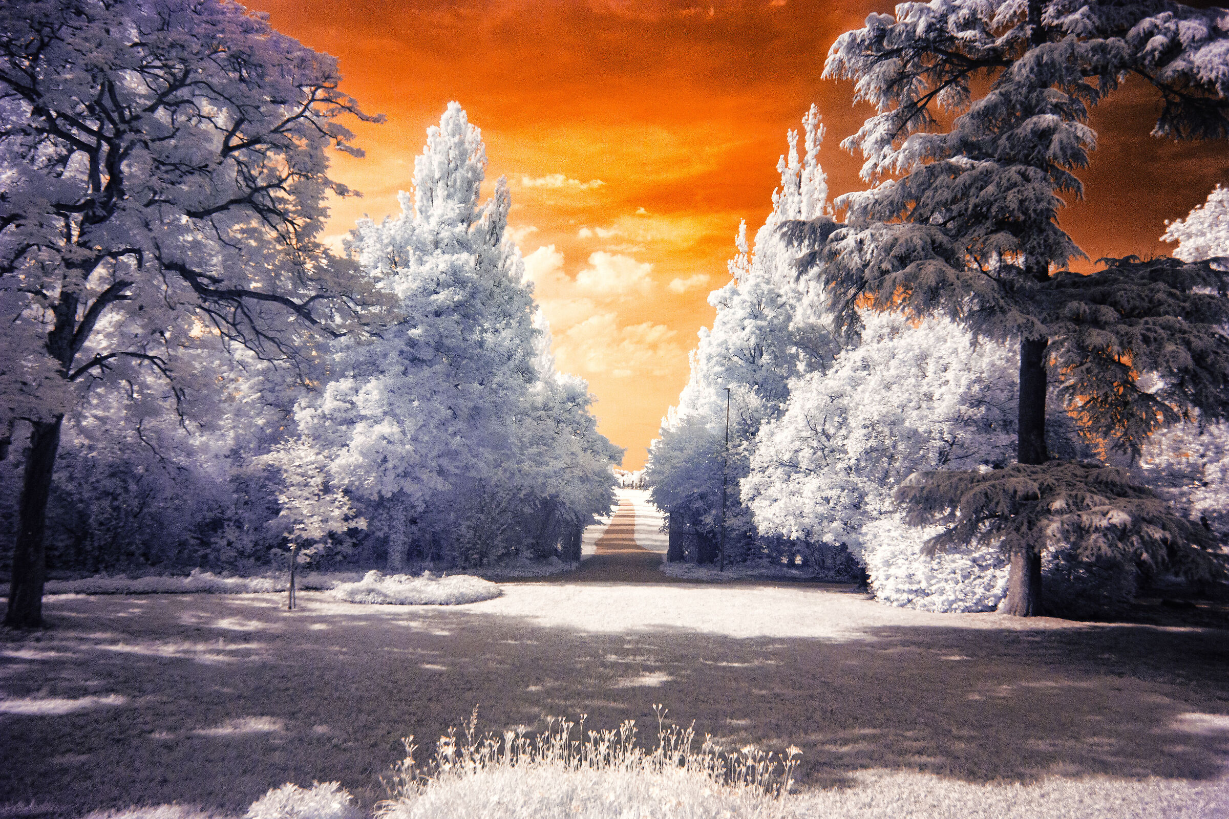 Infrared