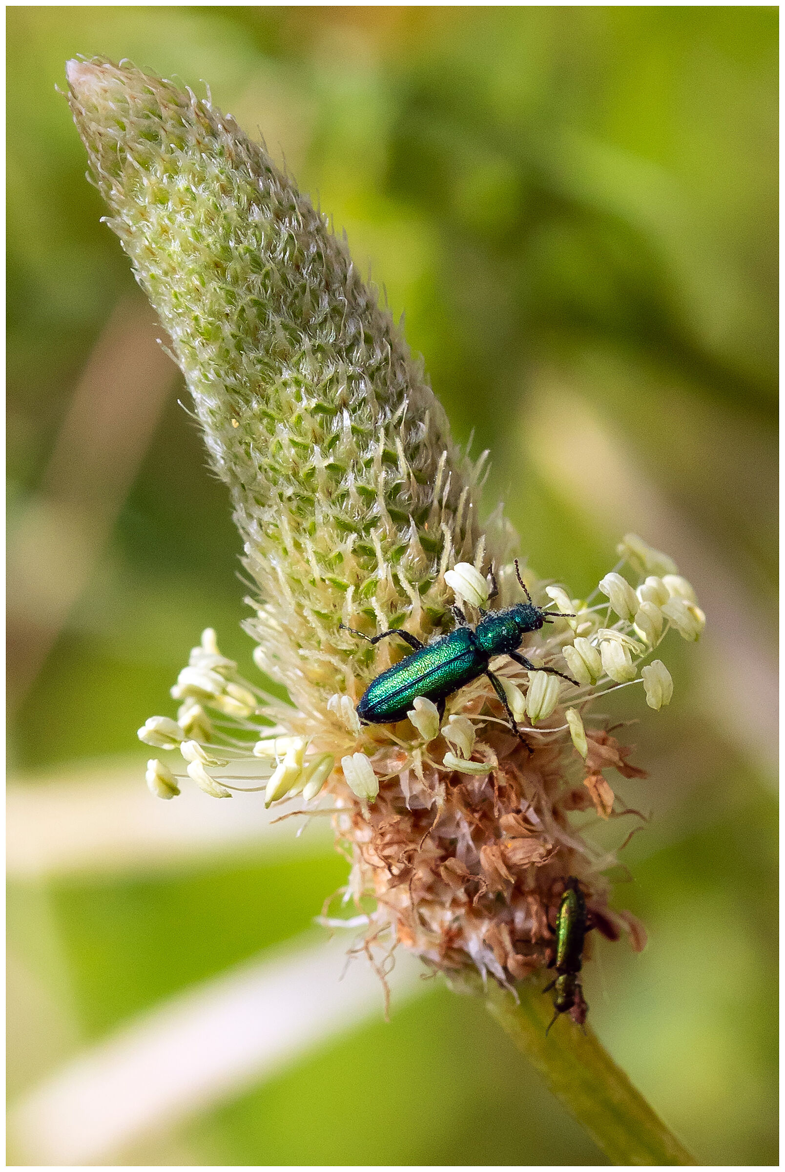 The world of children...