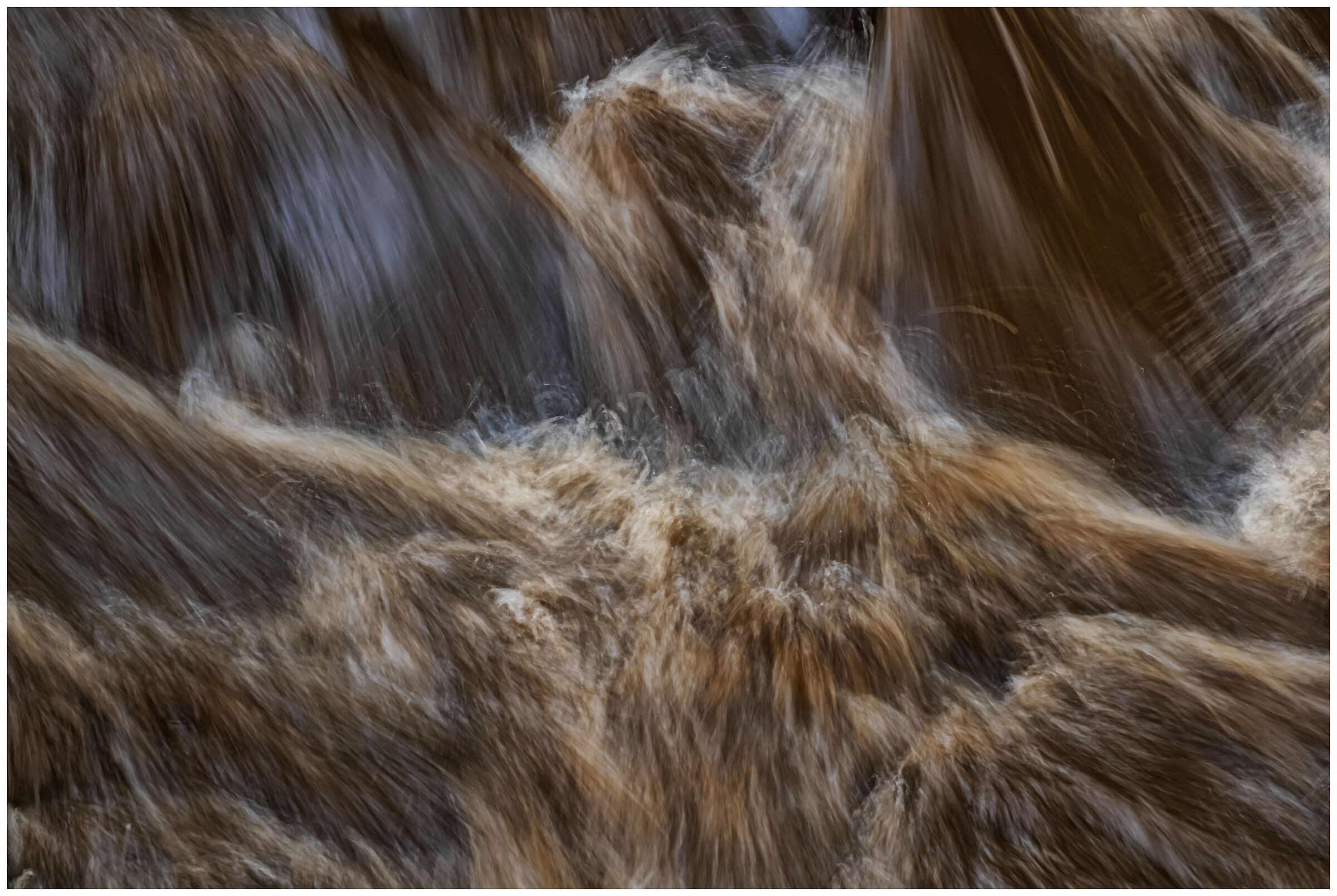 L'Acqua fonte della vita