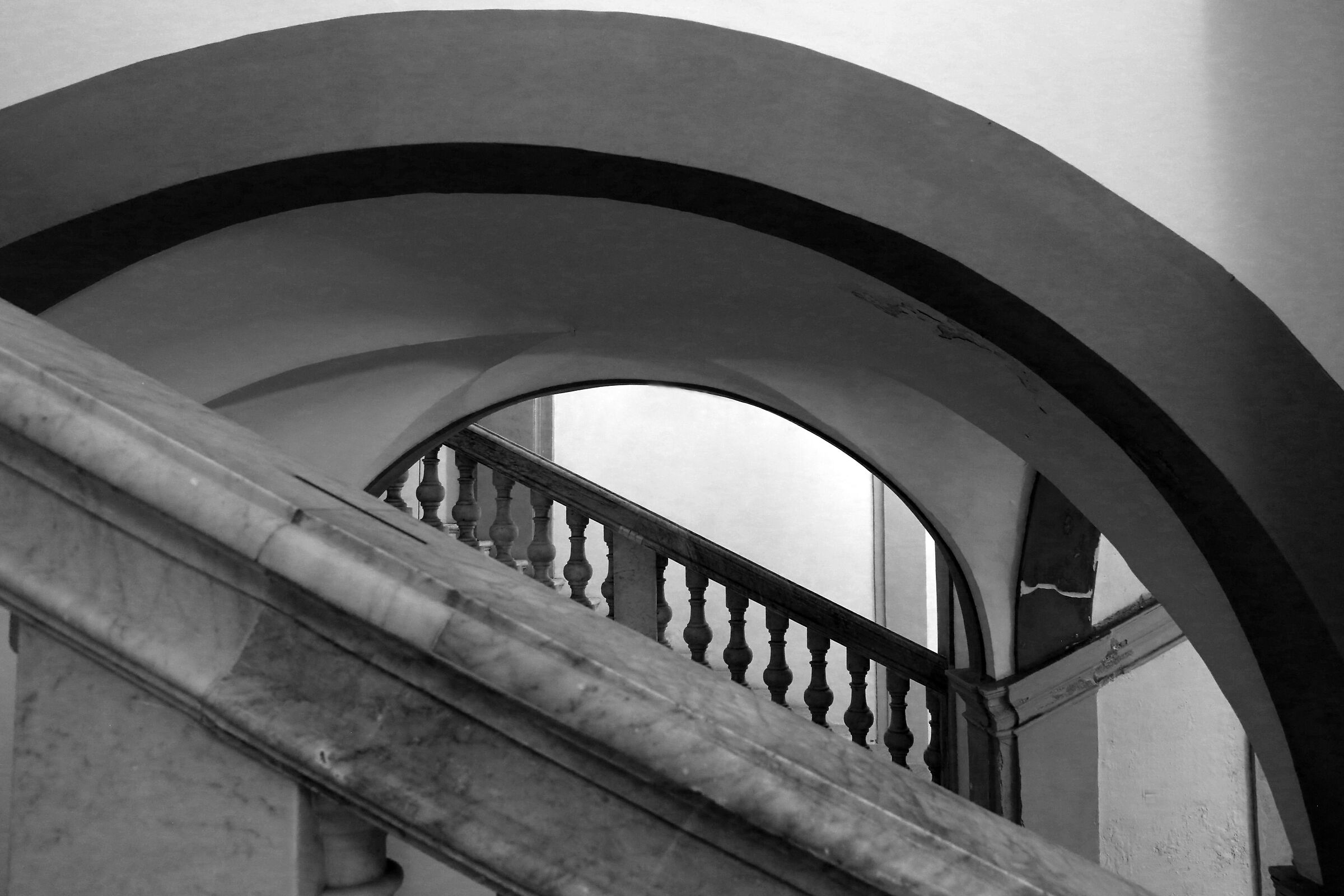 oratorio dei Bianchi (pa) in bianco e nero